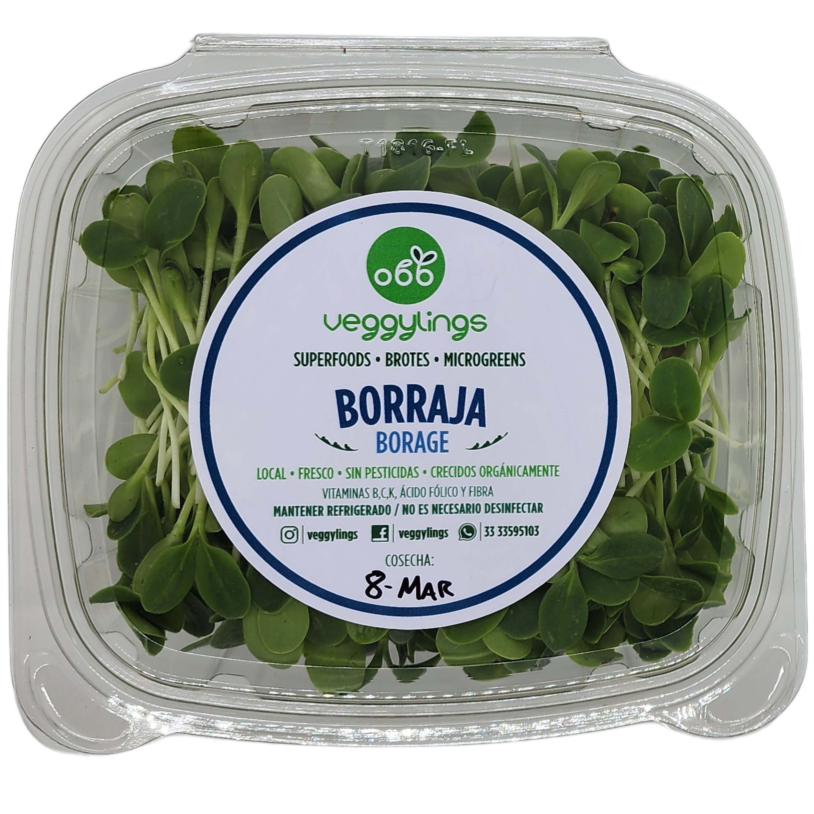 Brotes | Microgreens de Borraja