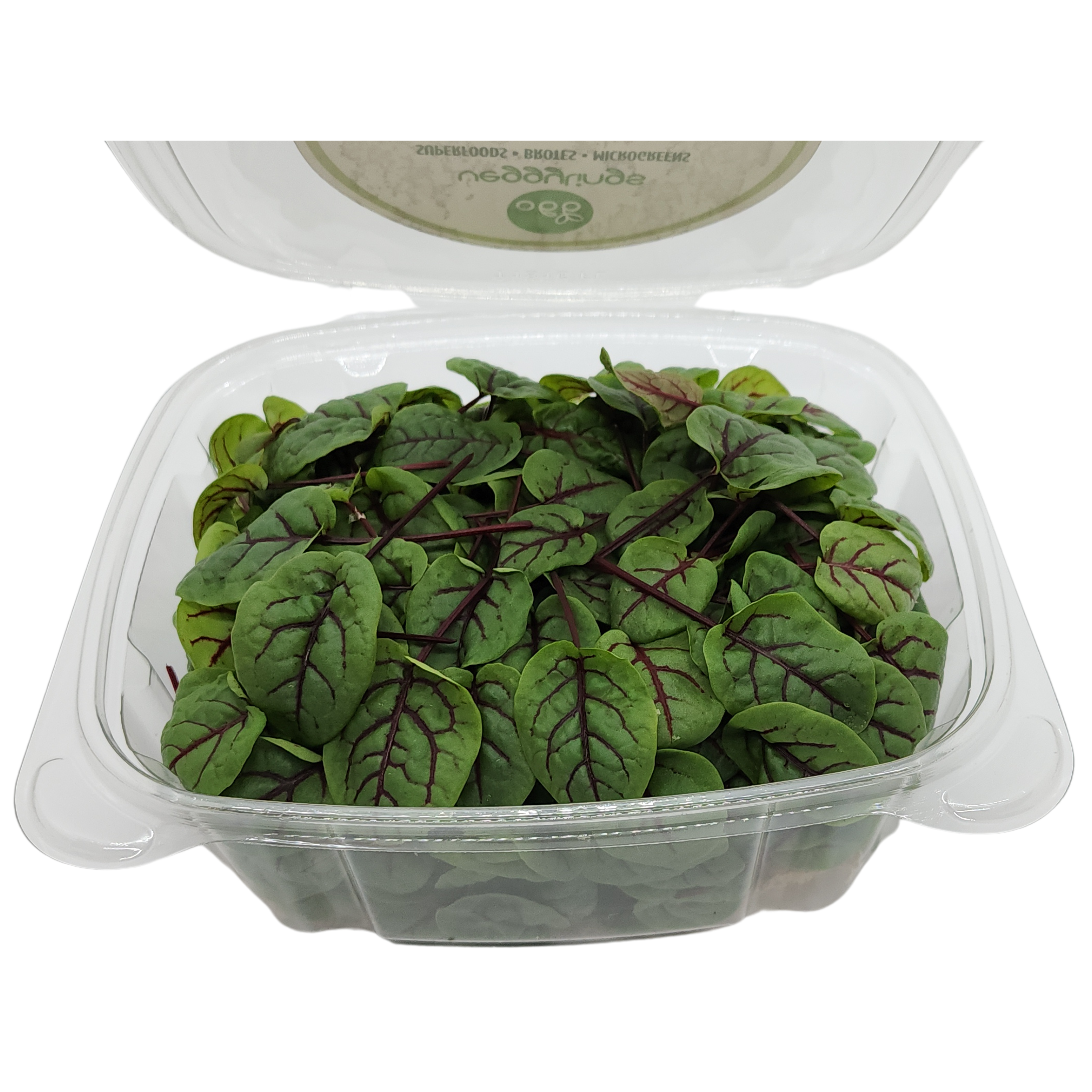Brotes | Microgreens de Sorrel (Acedera)