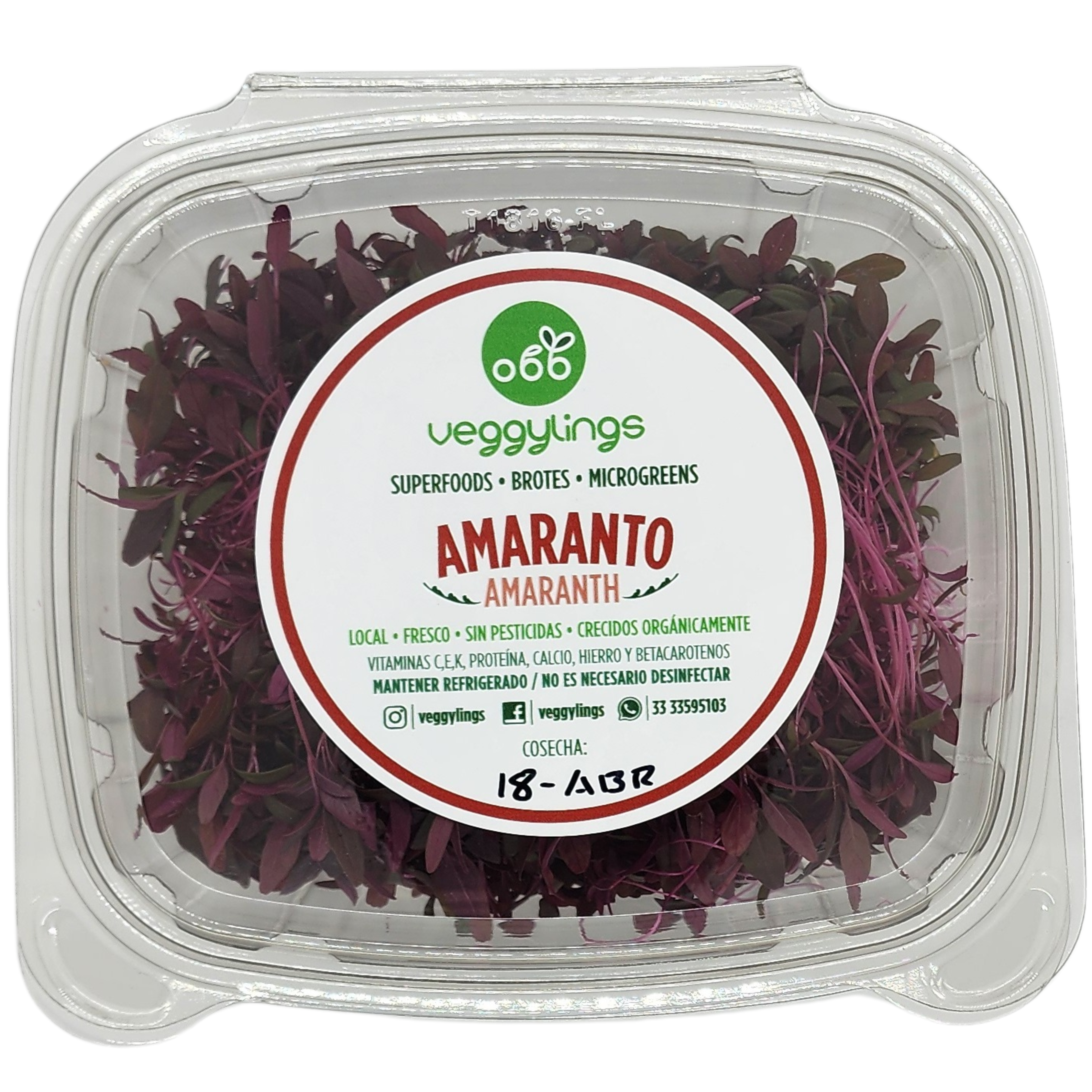 Brotes | Microgreens de Amaranto