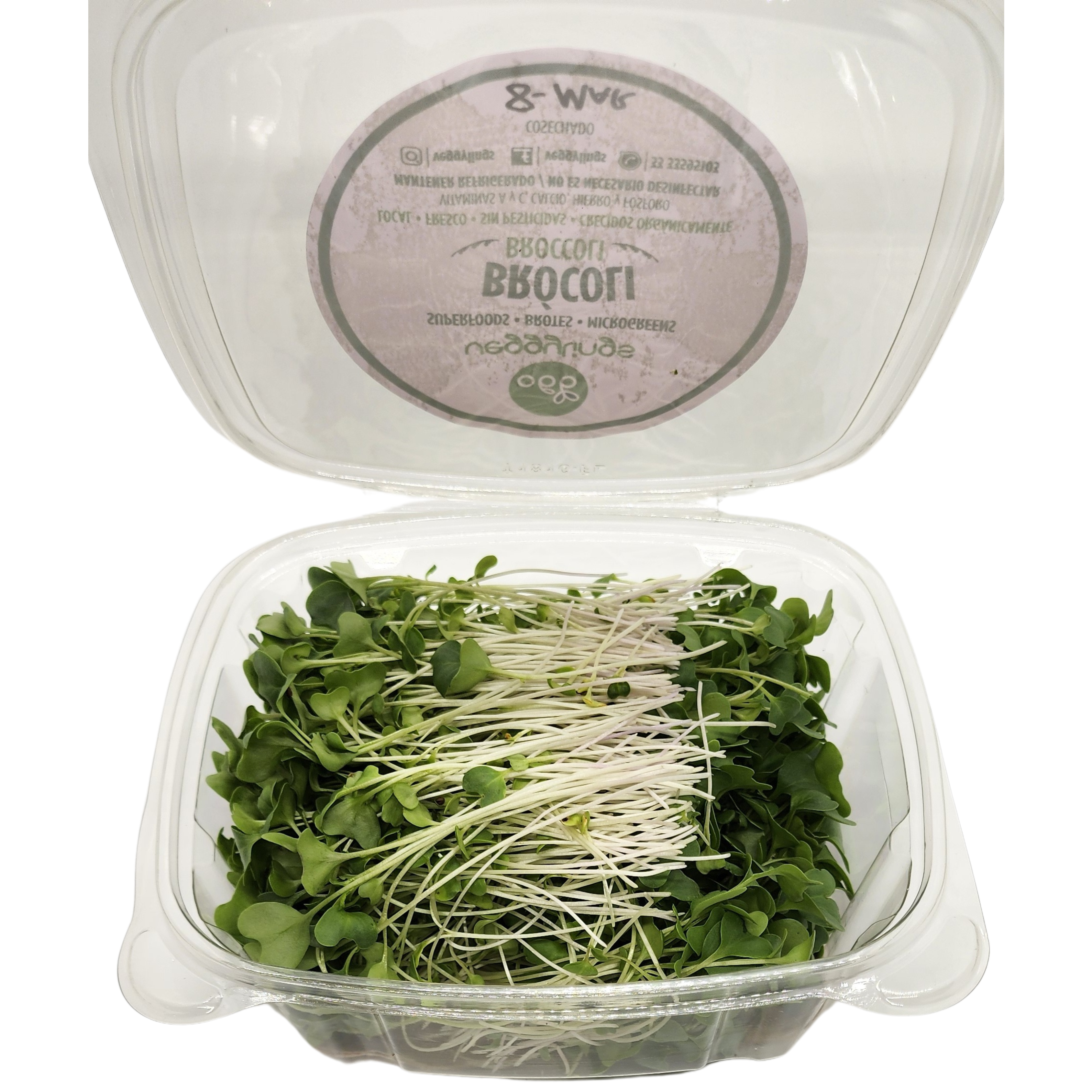 Brotes | Microgreens de Brócoli
