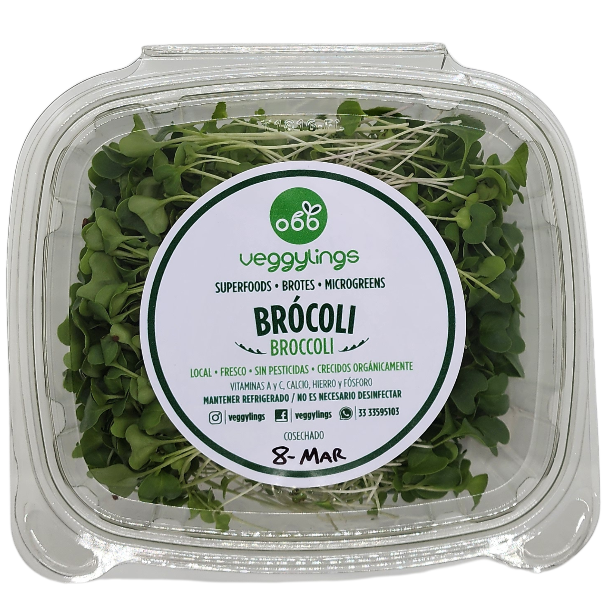 Brotes | Microgreens de Brócoli