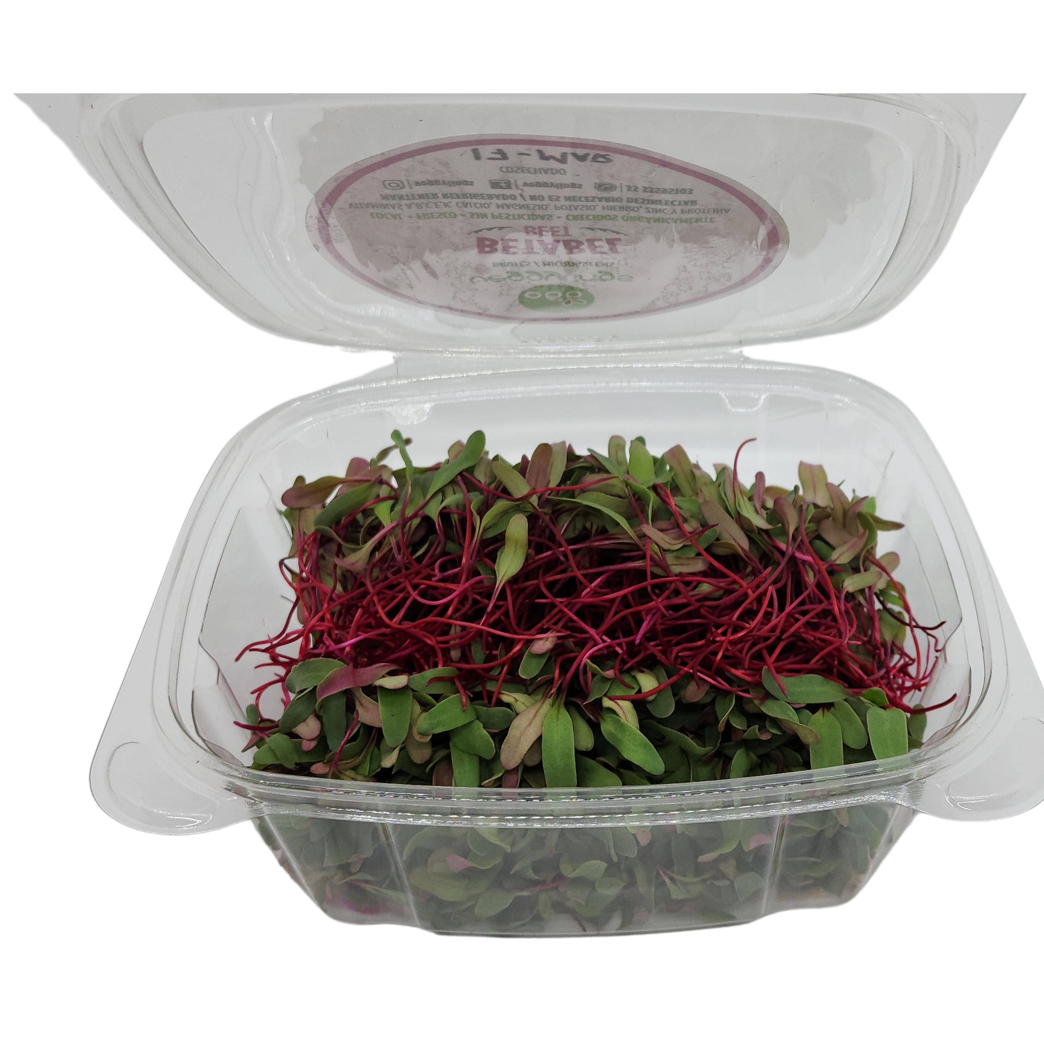 Brotes | Microgreens de Betabel