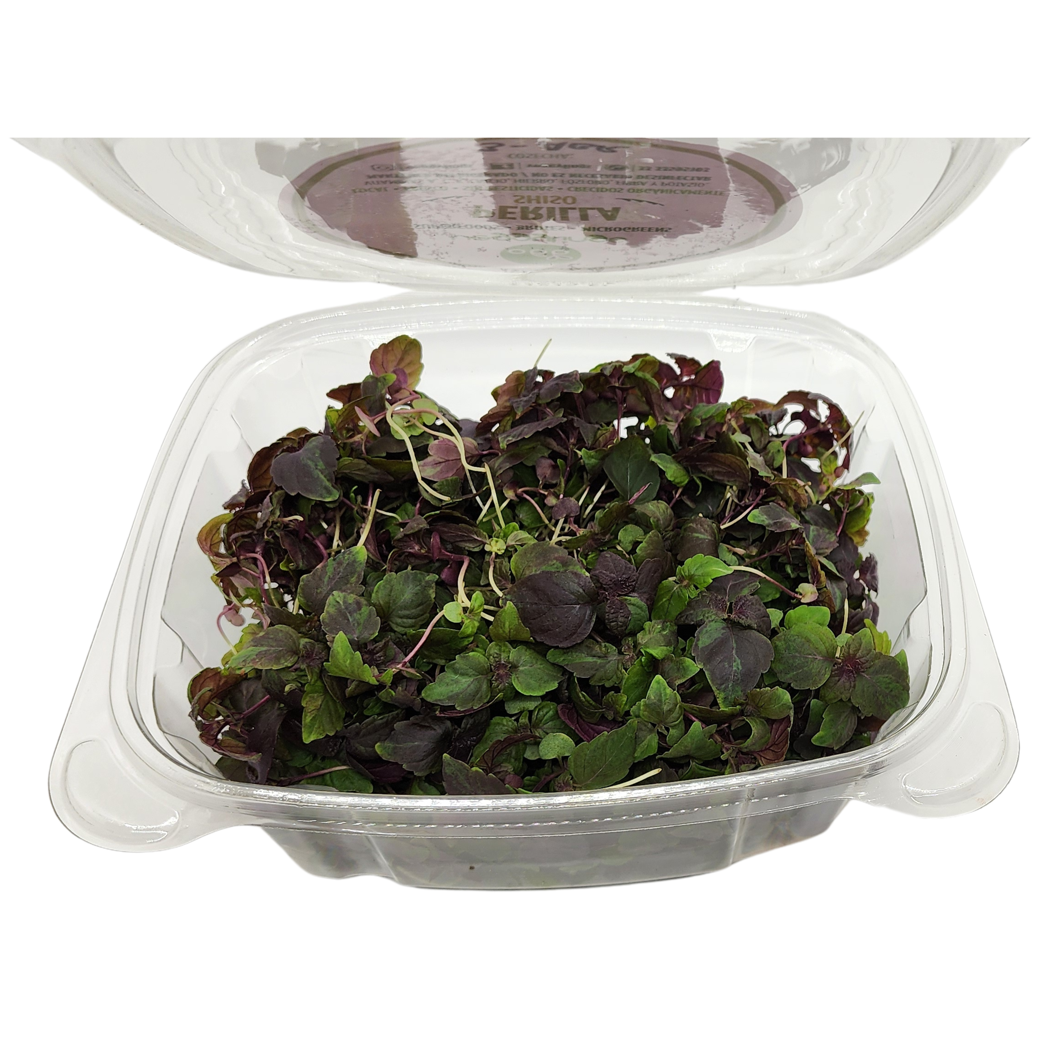 Brotes | Microgreens de Shiso (morado)
