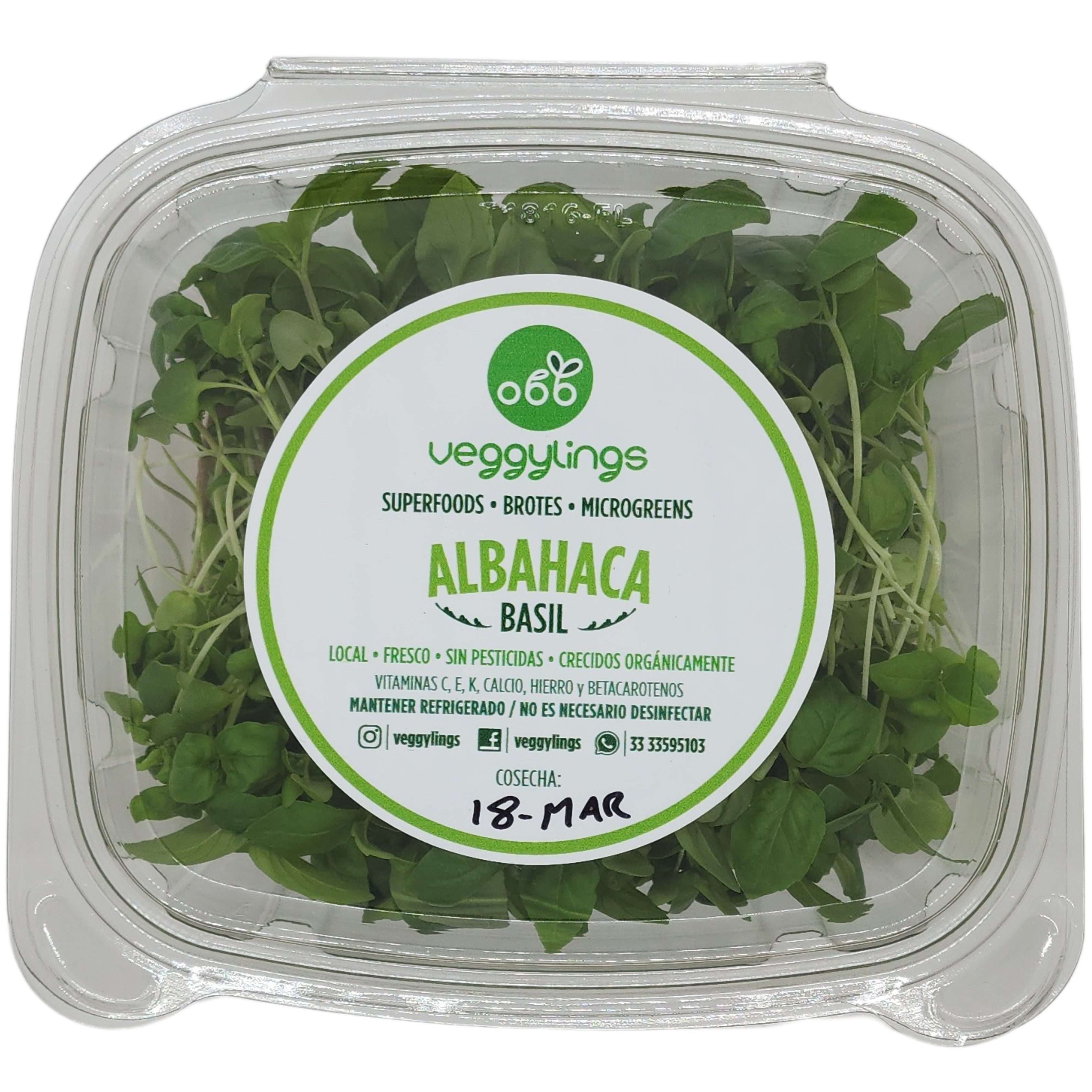 Brotes | Microgreens de Albahaca