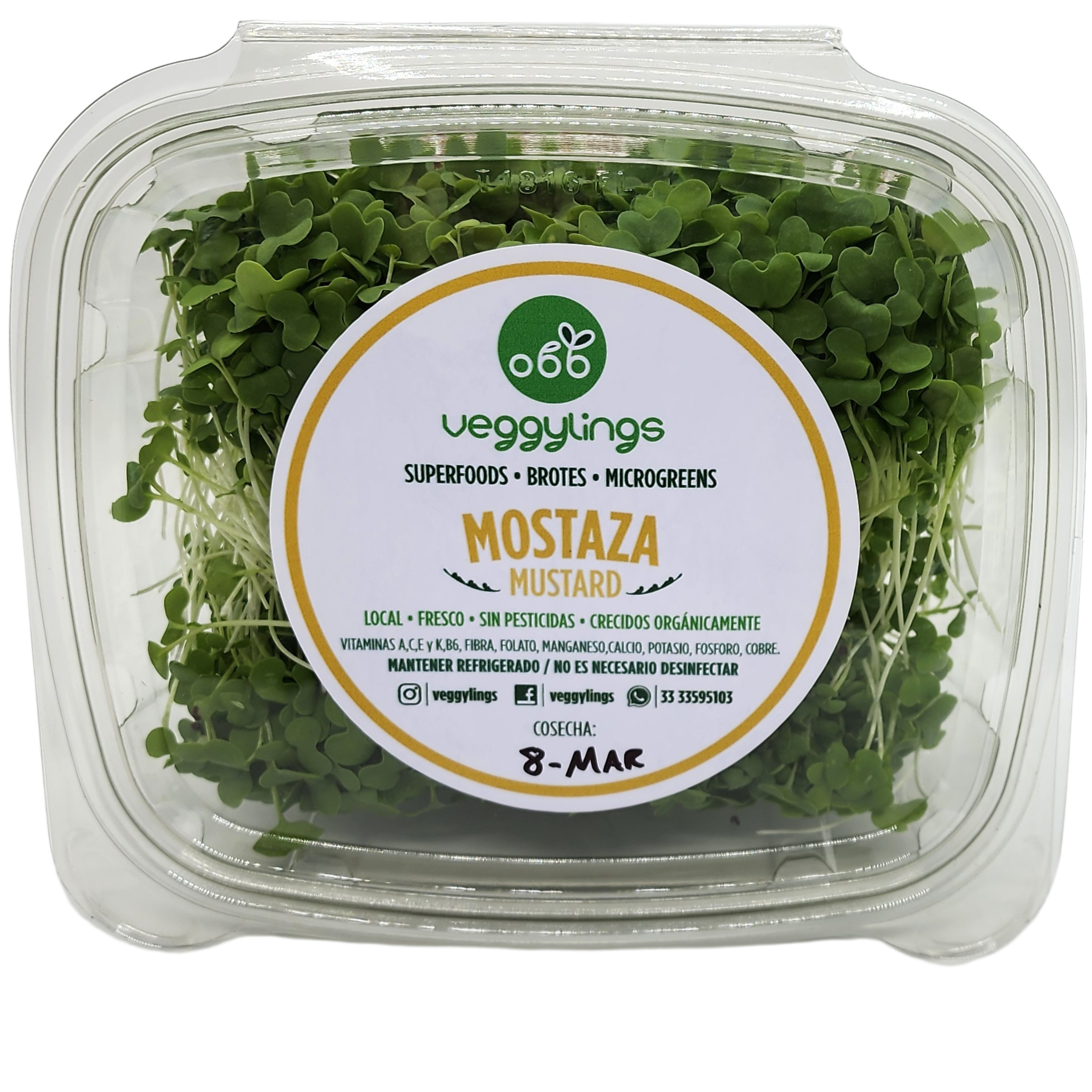 Brotes | Microgreens de Mostaza