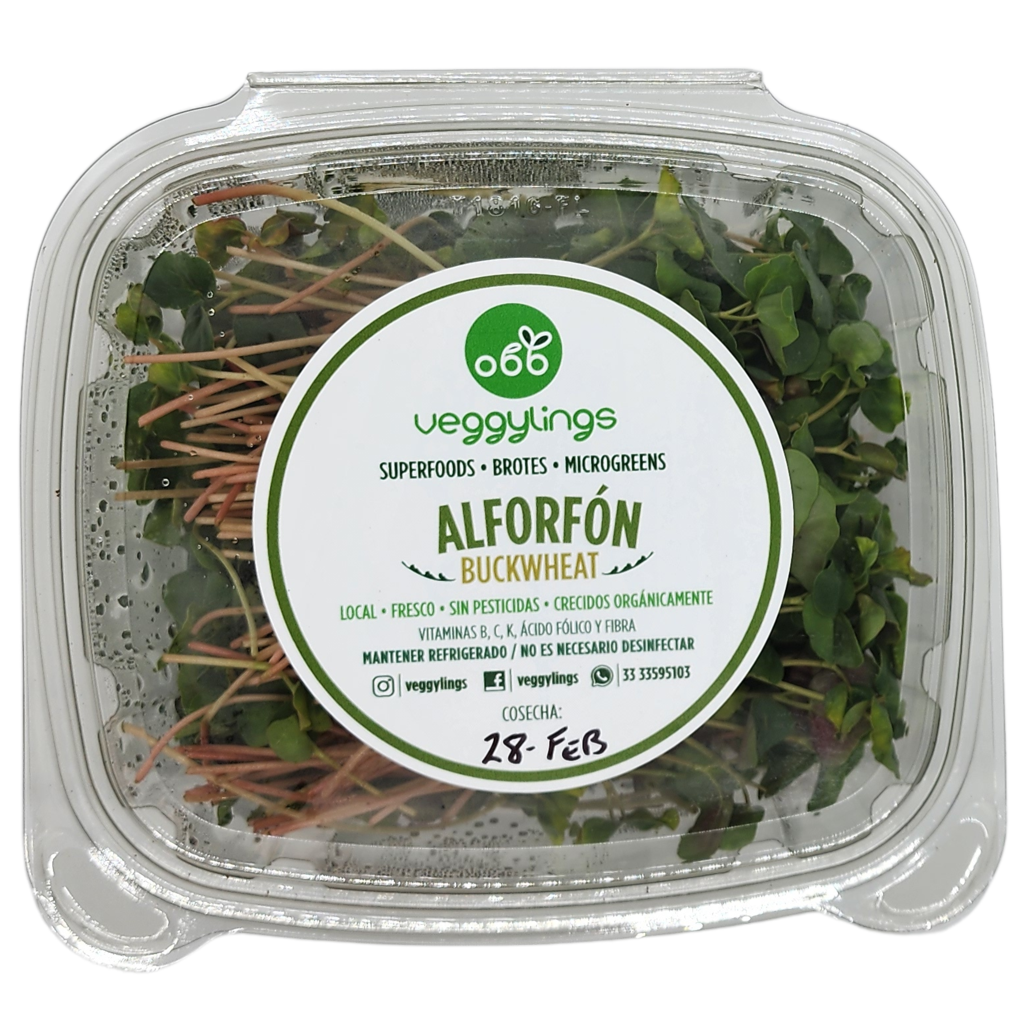 Brotes | Microgreens de Alforfón