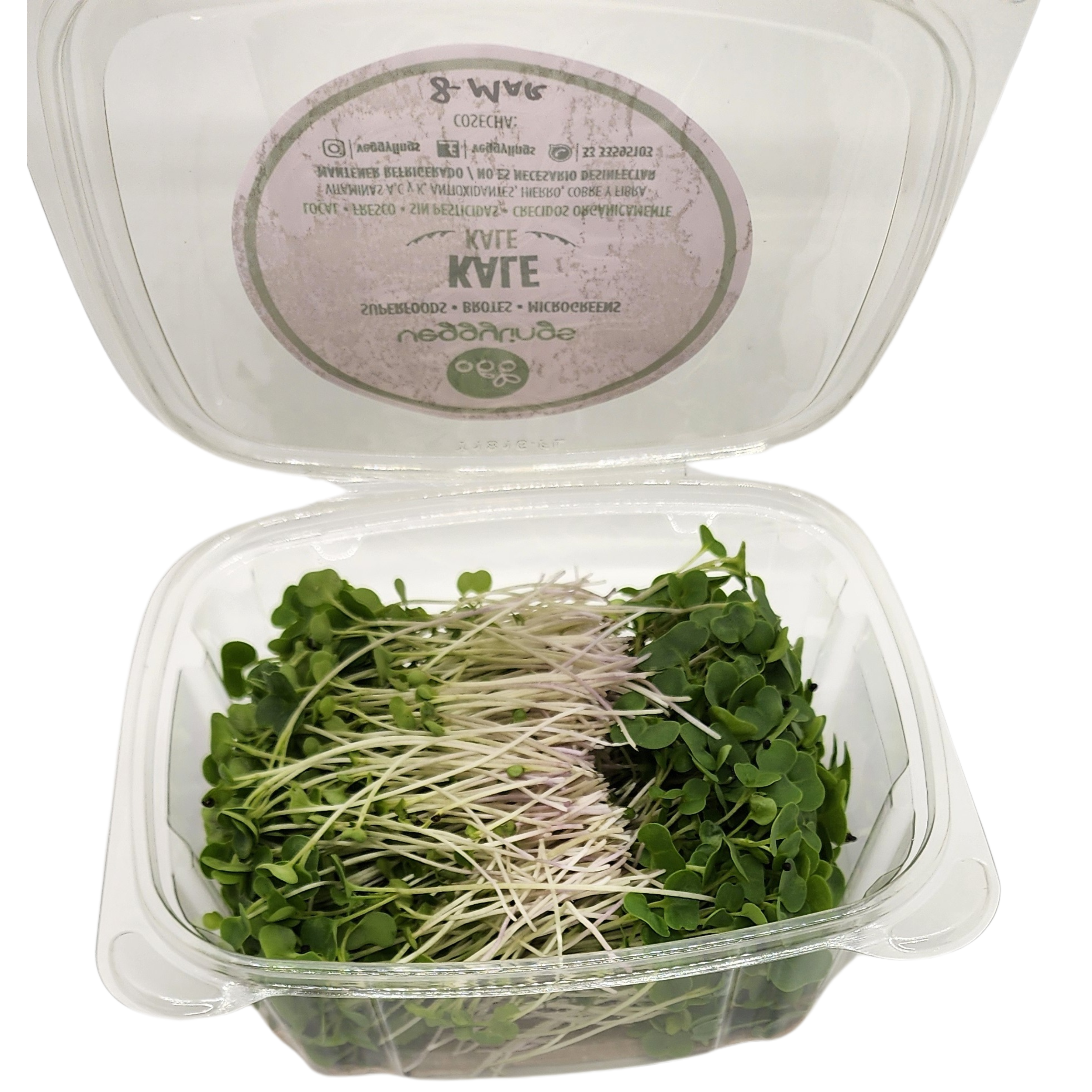 Brotes | Microgreens de Kale