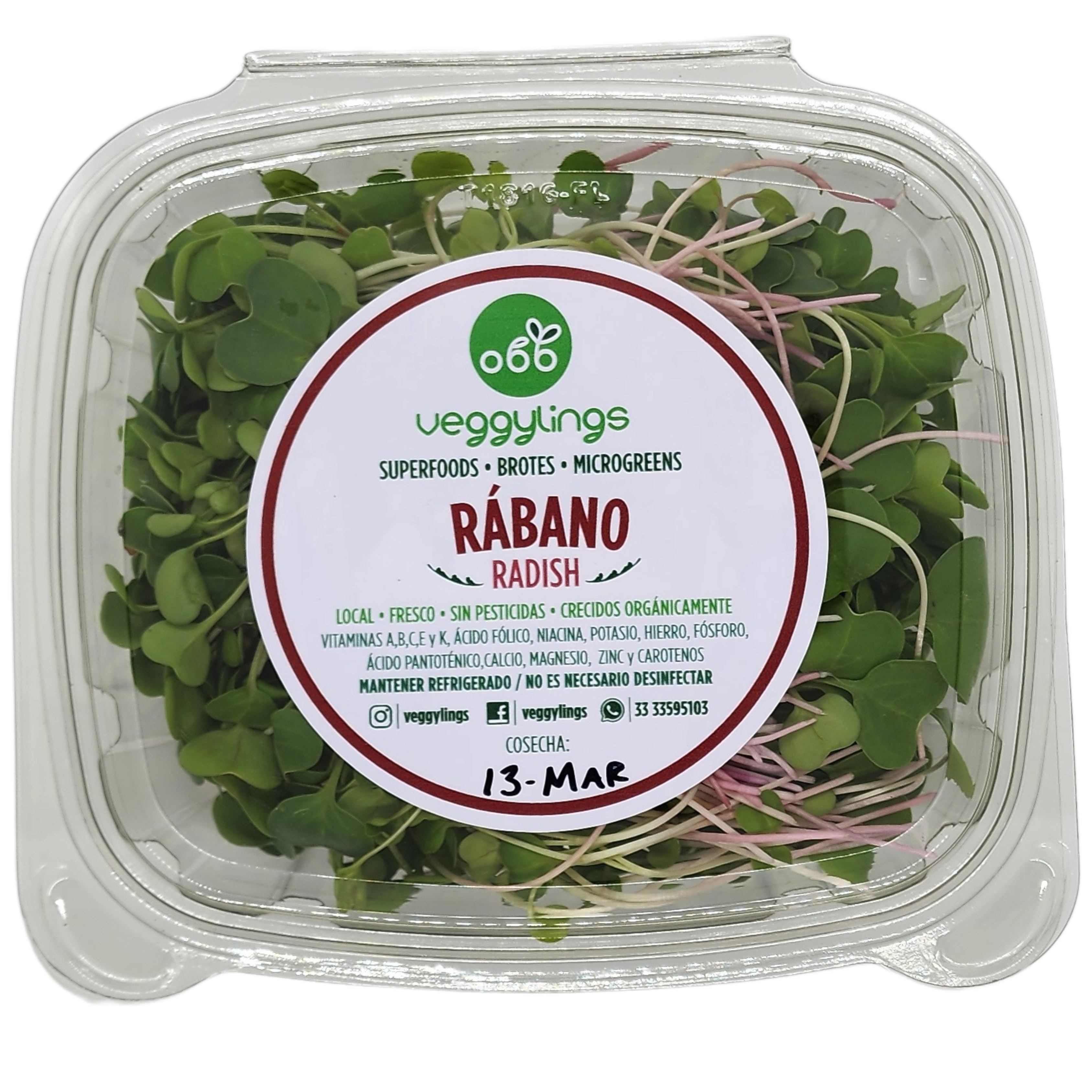 Brotes | Microgreens de Rábano