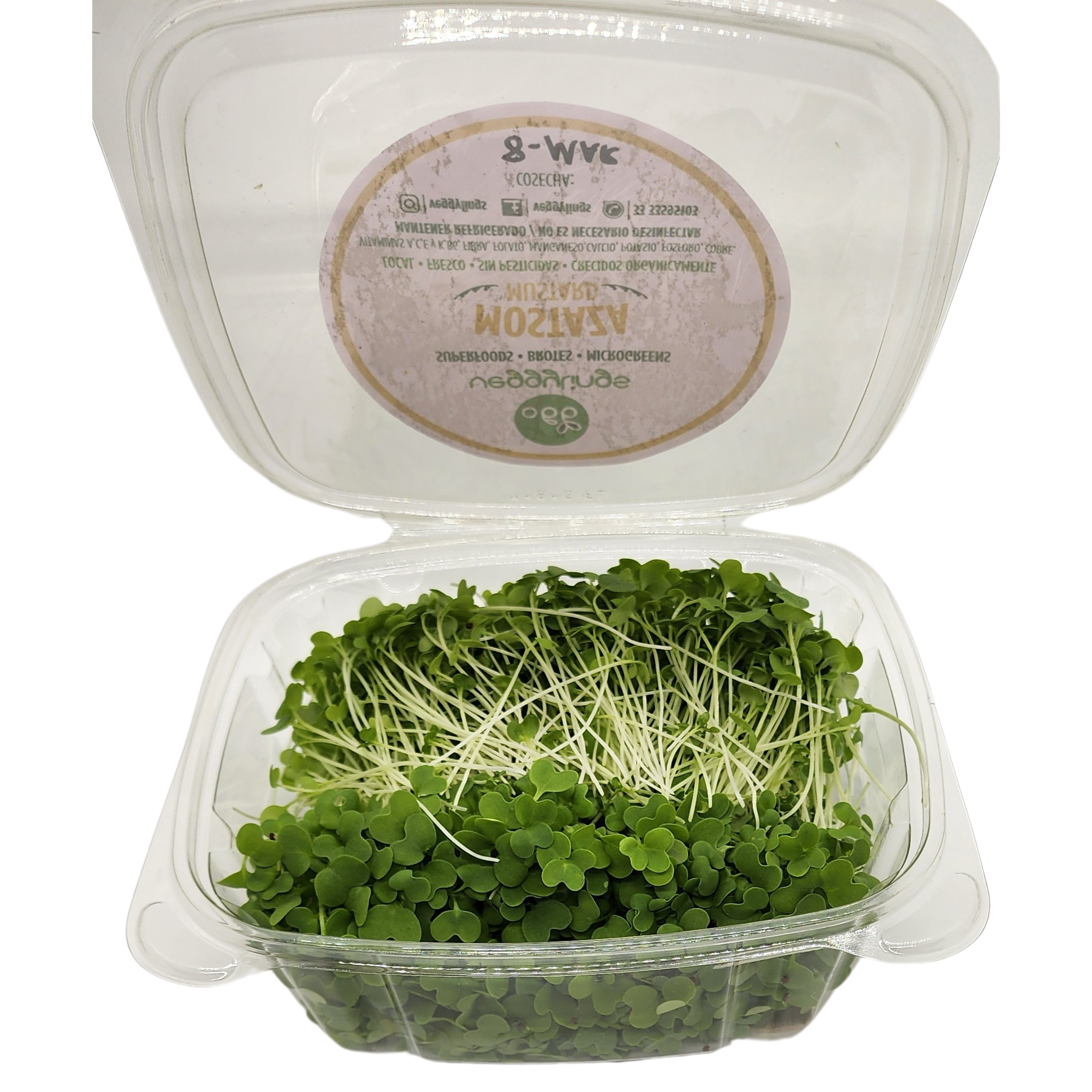 Brotes | Microgreens de Mostaza