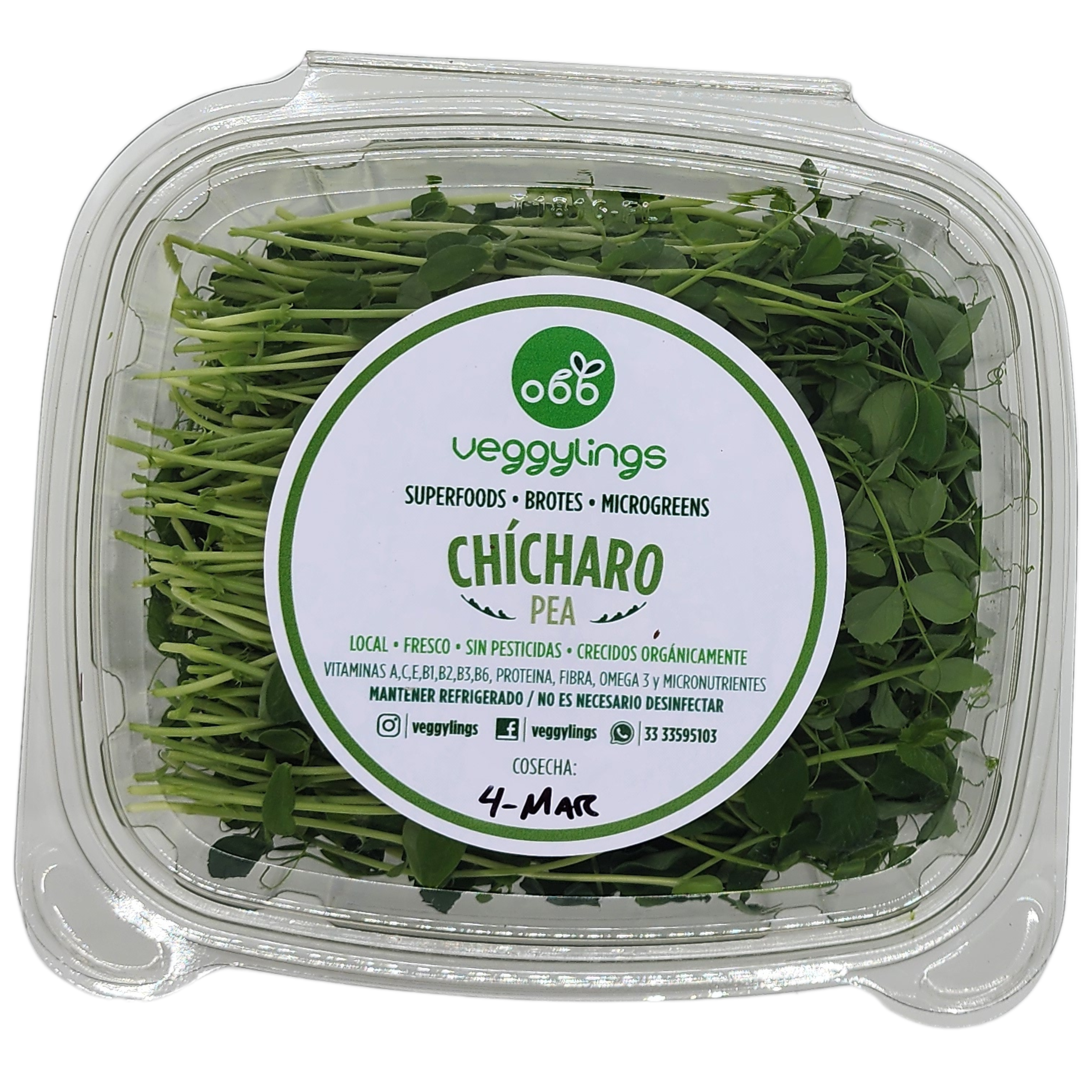 Brotes | Microgreens de Chícharo (Regular)