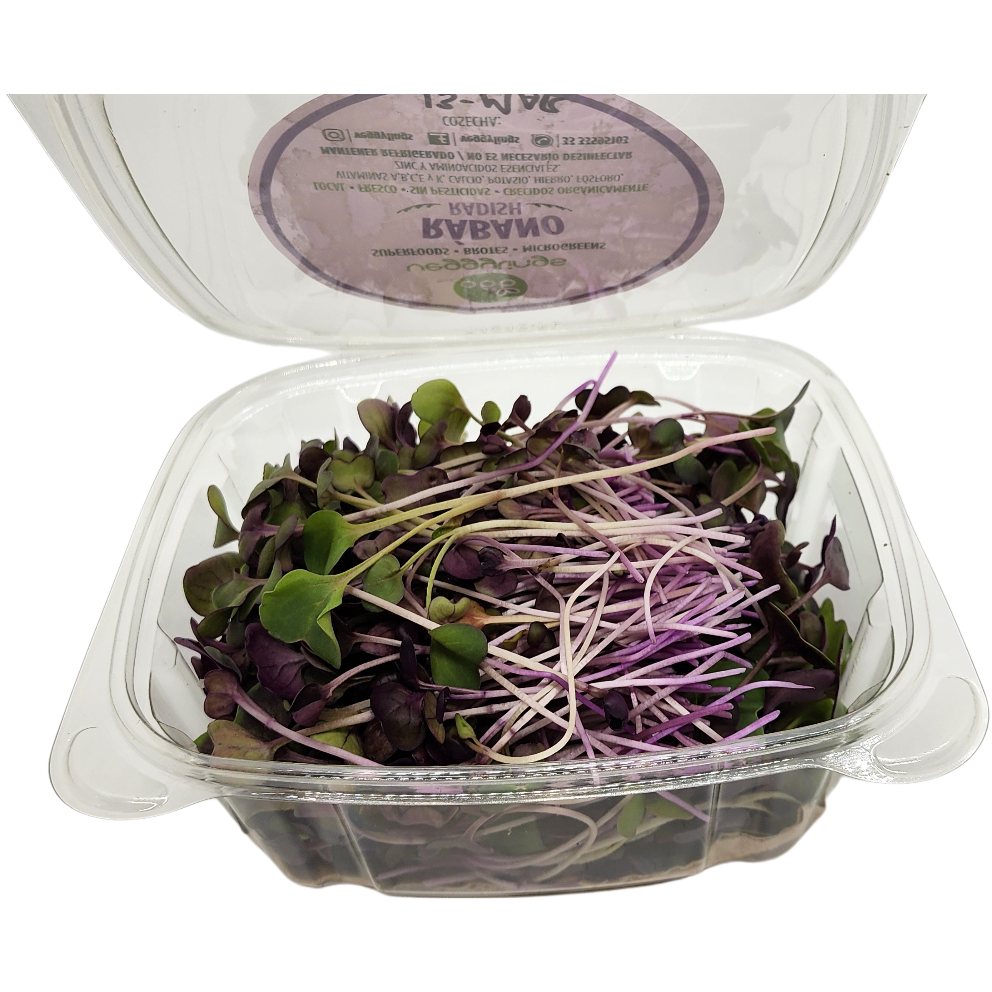 Brotes | Microgreens de Rábano