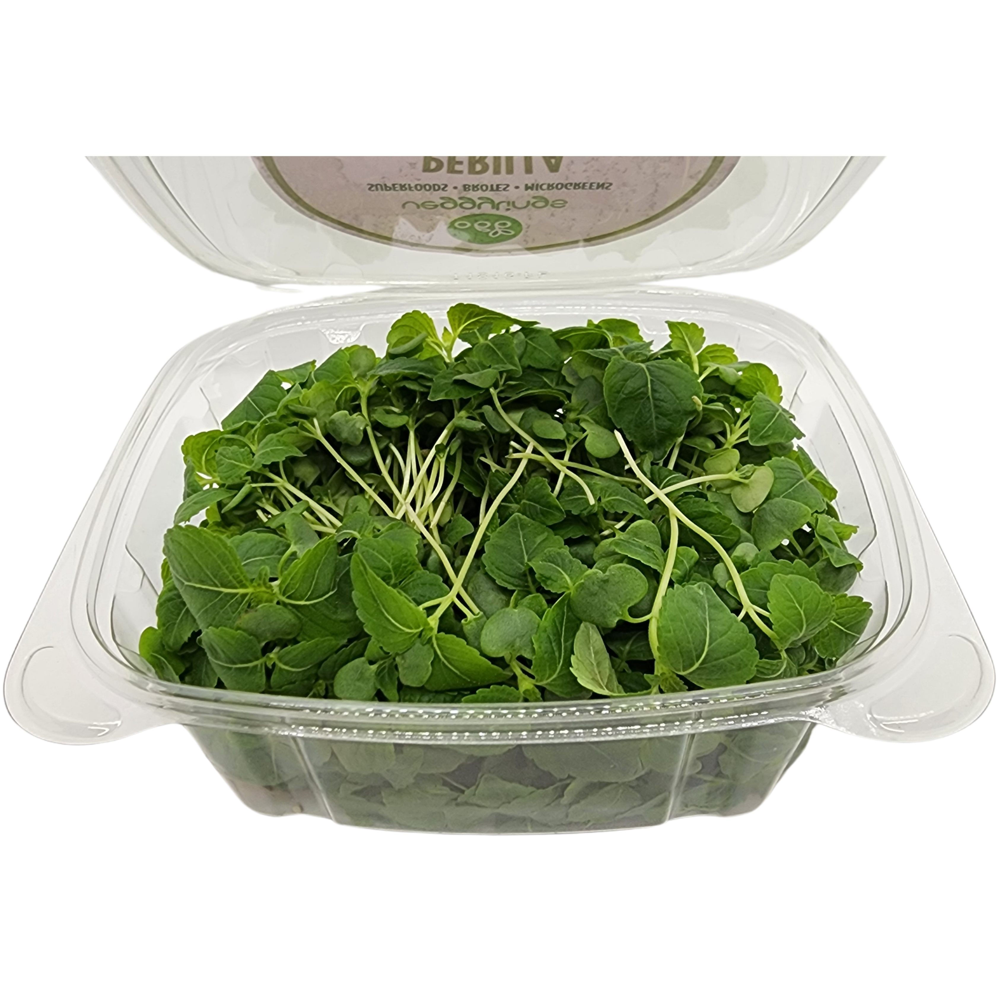 Brotes | Microgreens de Shiso (verde)