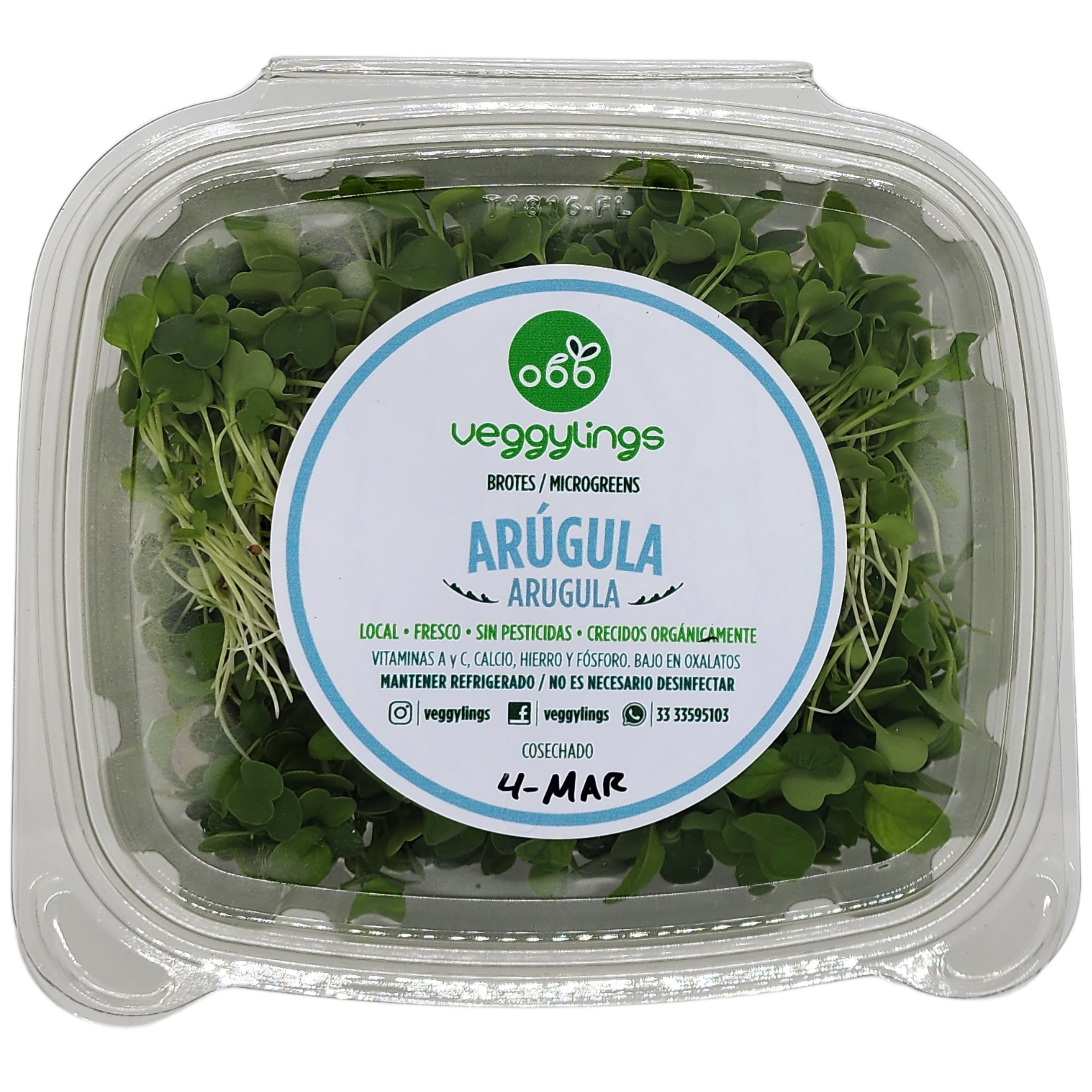 Brotes | Microgreens de Arúgula