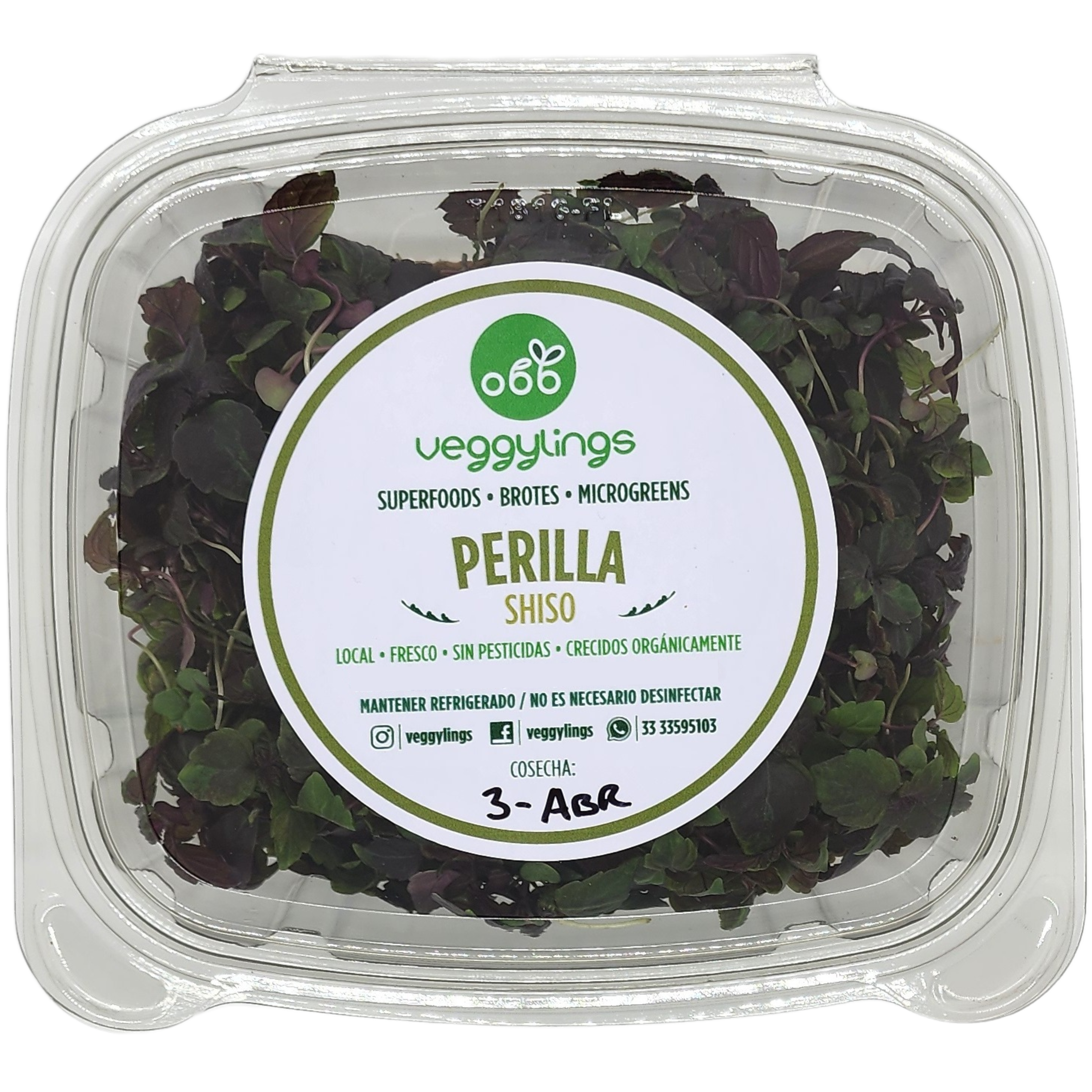 Brotes | Microgreens de Shiso (morado)