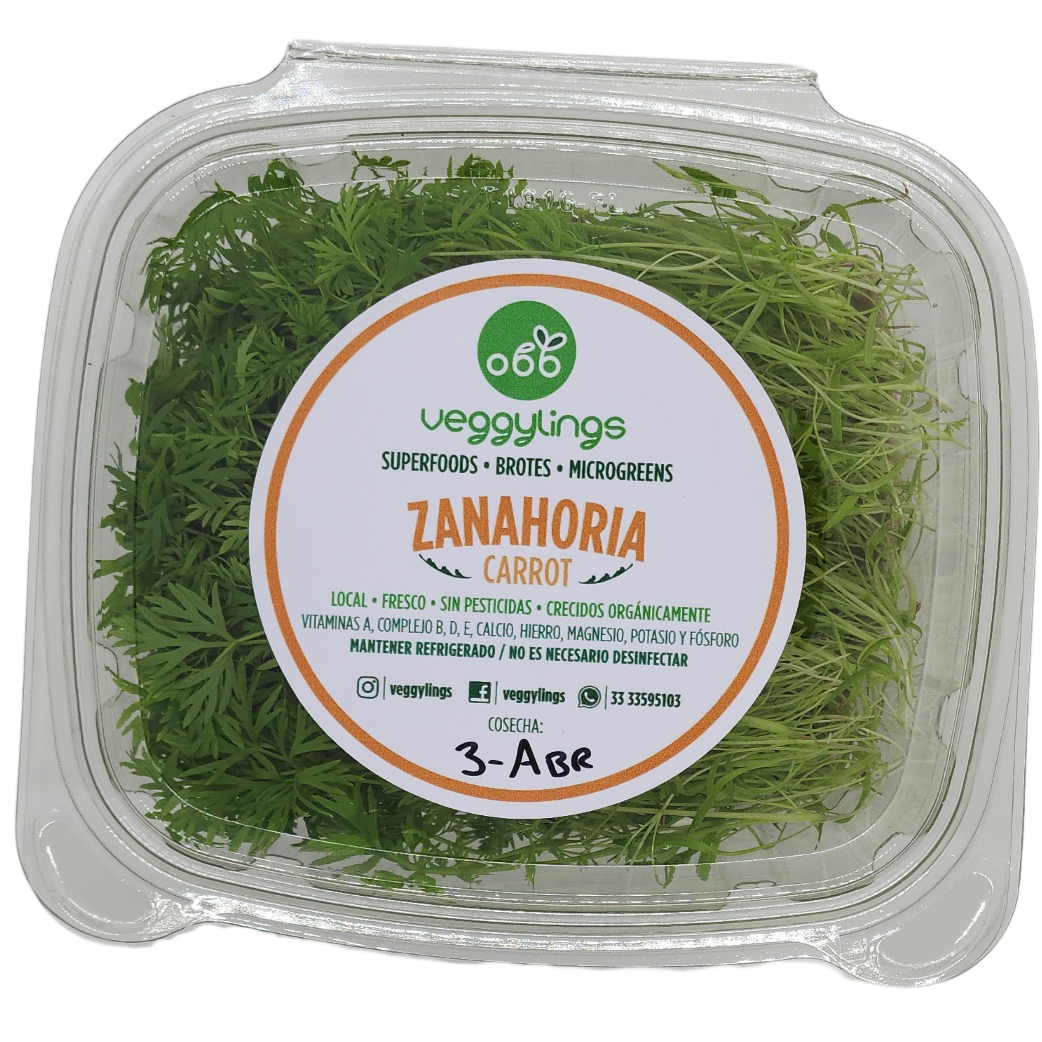 Brotes | Microgreens de Zanahoria