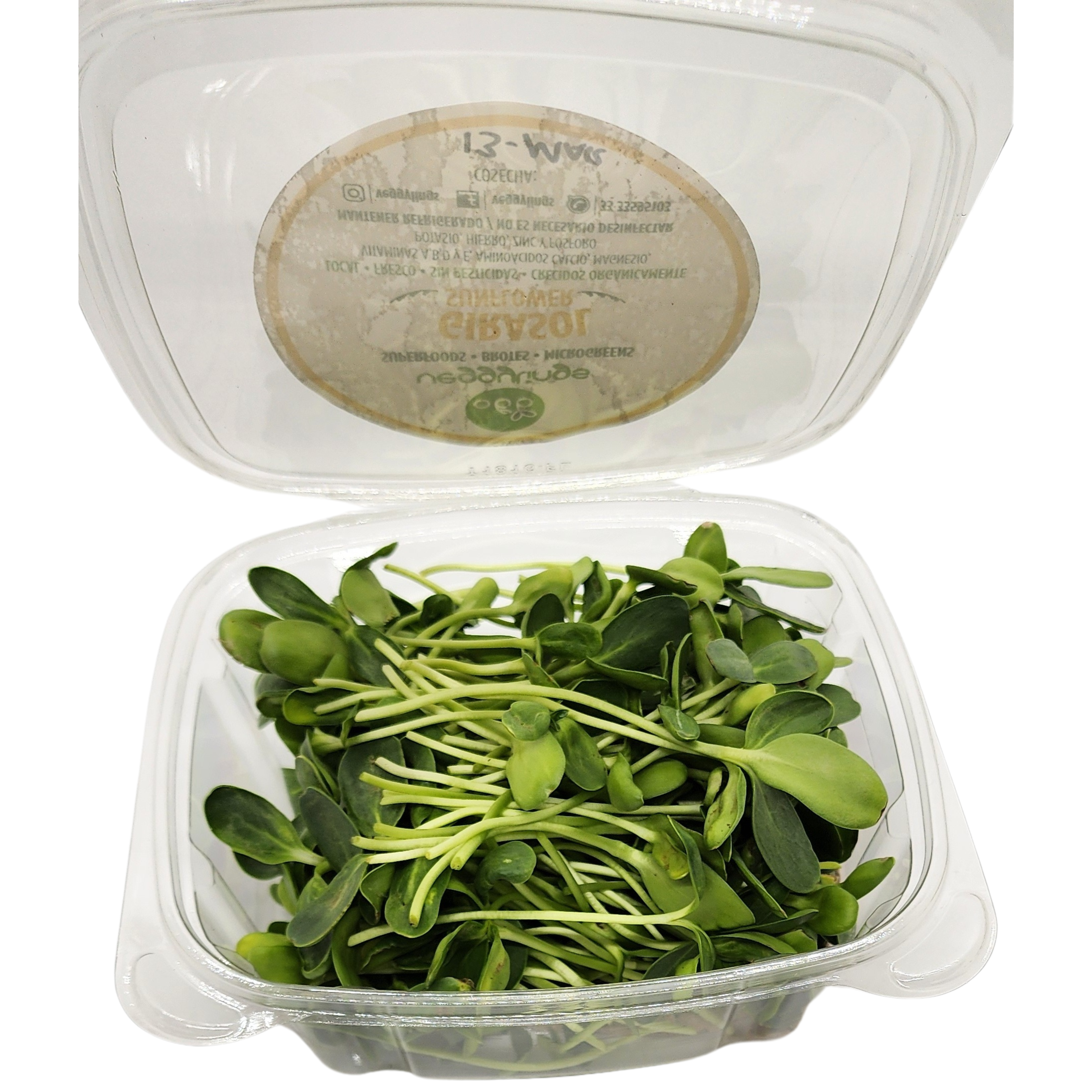Brotes | Microgreens de Girasol