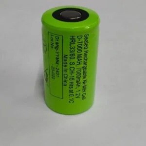 D Size Rechargeable Battery
