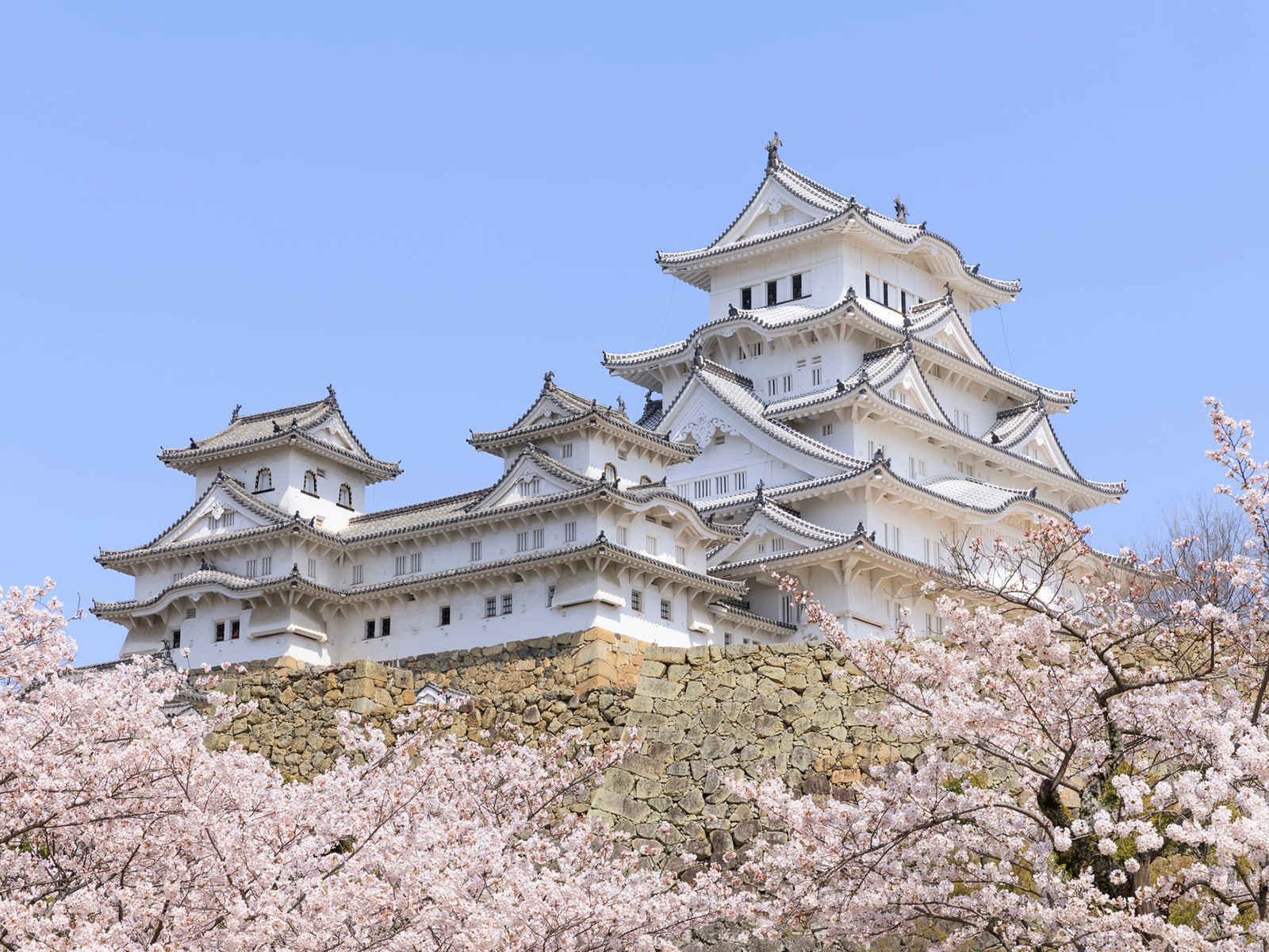 Ruta de la Garza Blanca