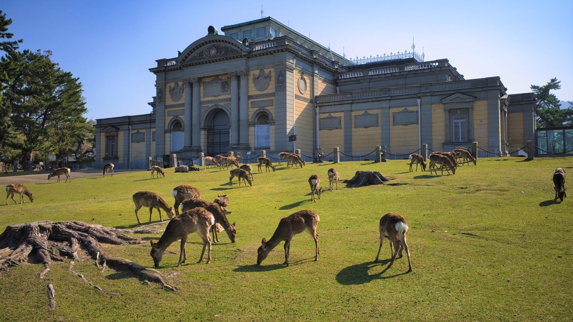 Reino Sagrada de Nara