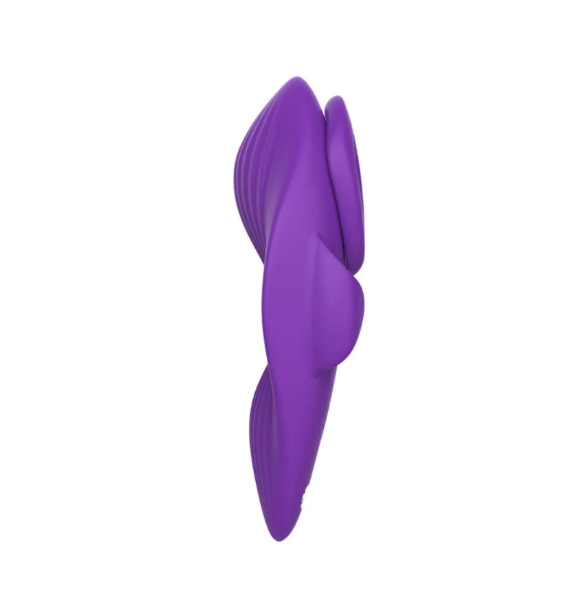 Vibrador de Calcinha Recarregável com 9 Modos de Vibração e Controle Remoto Vip Mix