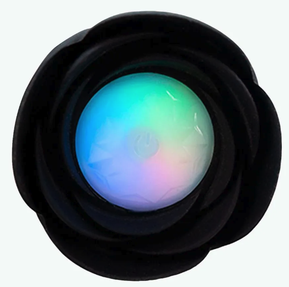 Plug Anal de Silicone em Formato de Pênis com 10 Modos de Vibração e Controle Remoto sem Fio Vip Mix