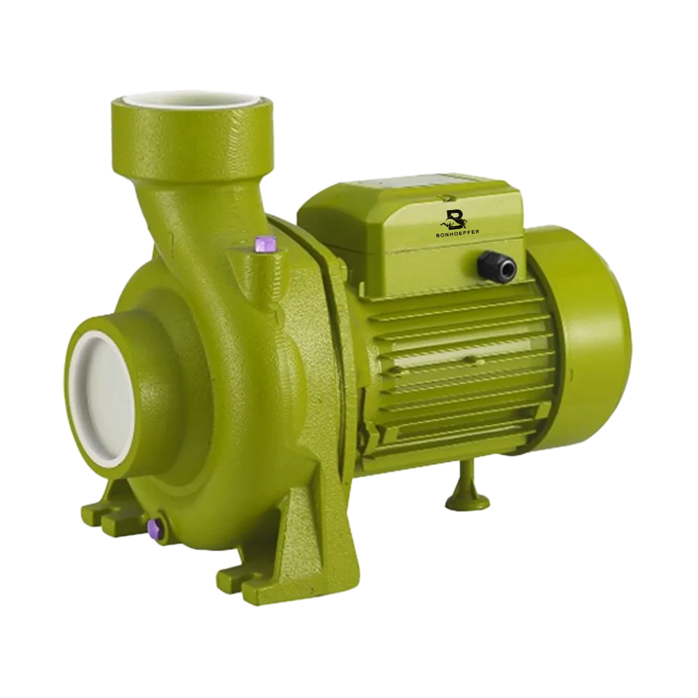 Electrobomba BONHOEFFER - BON-P-CP-2.0HP