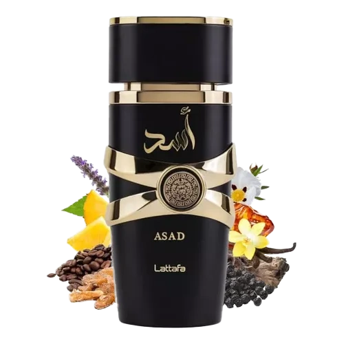 Asad  Negra de lattafa 