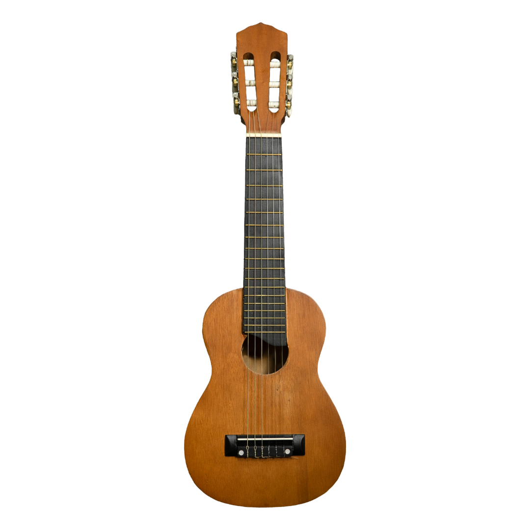 GLN Senar 6 Nylon Guitar