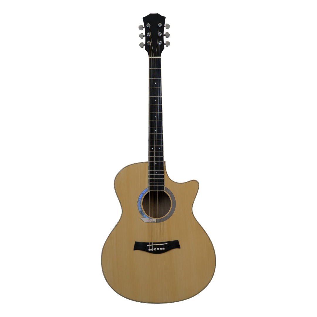 LOCUSTA Senar String Guitar