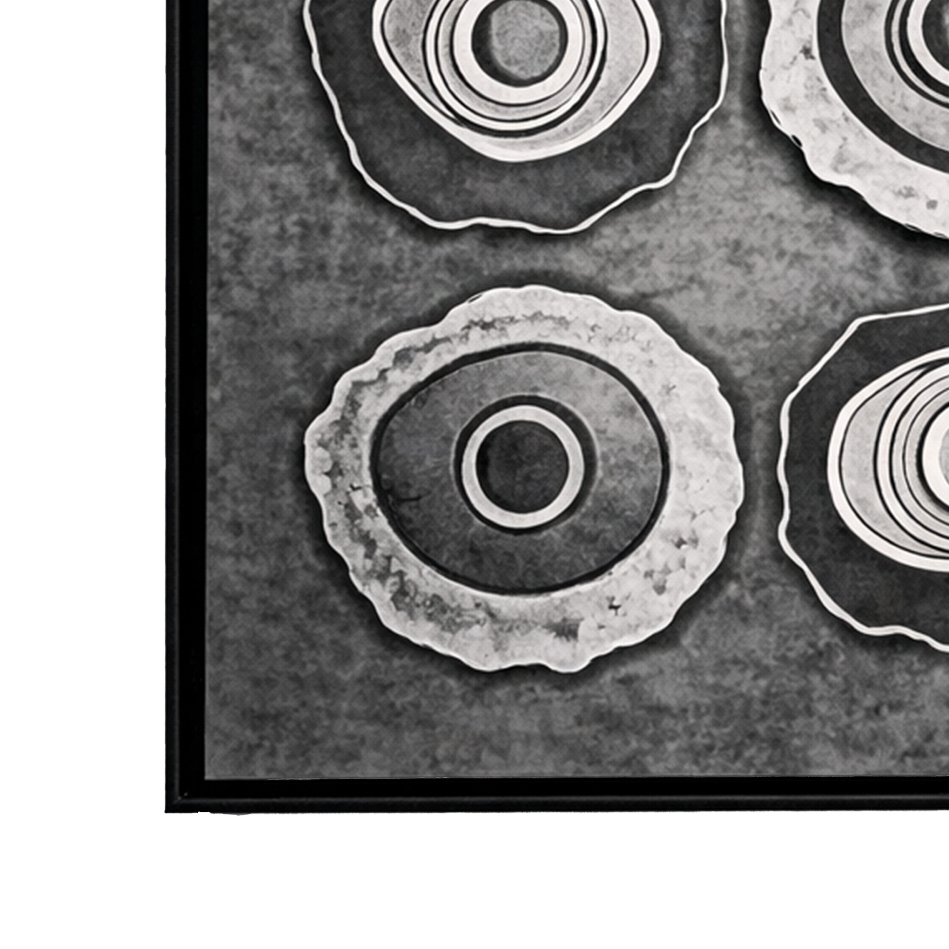 Organic Echoes : Terracotta Wall Art