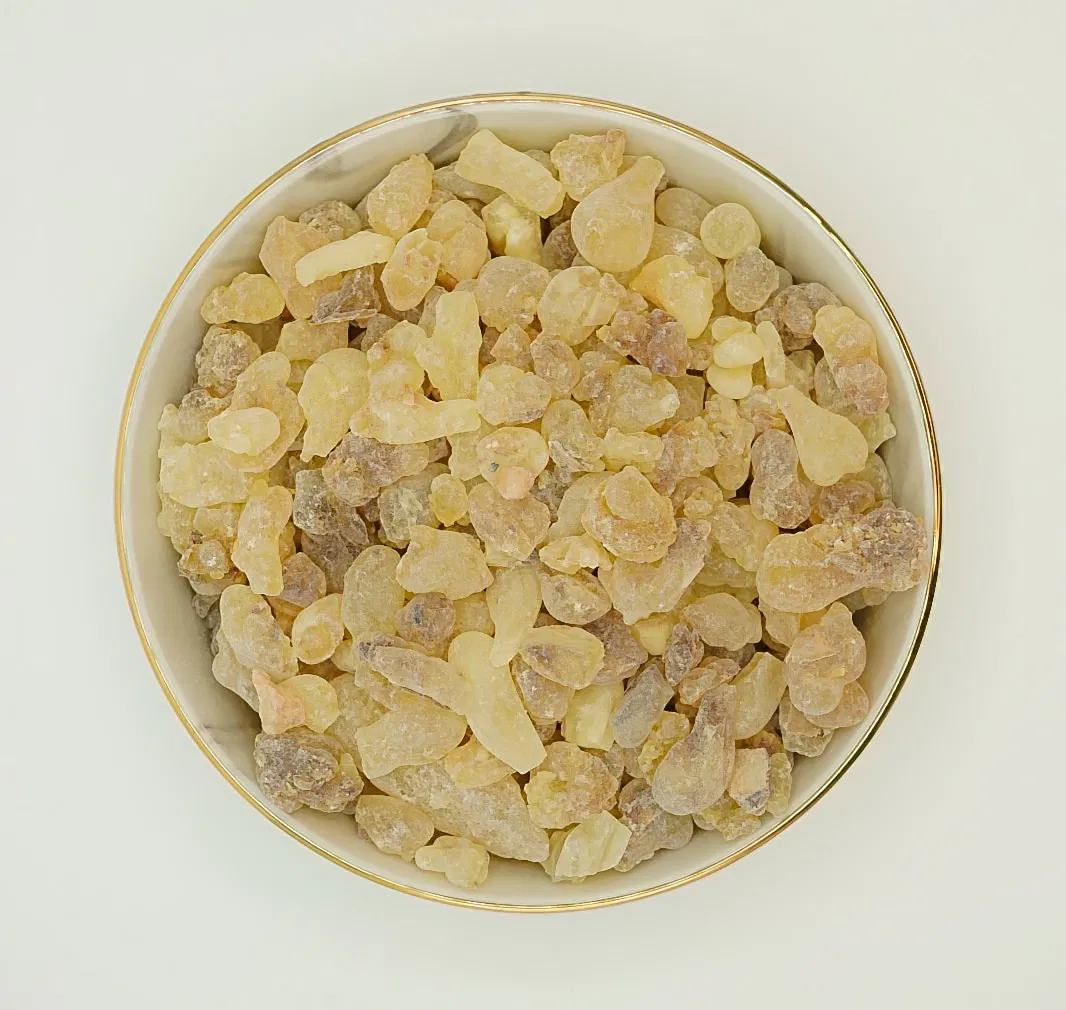 لبان عماني حوجري