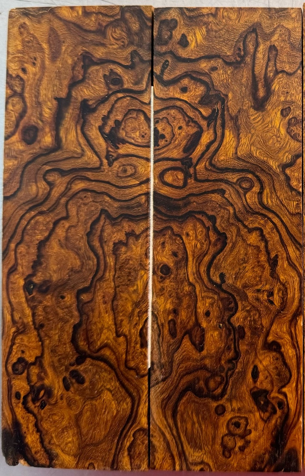 Exotic Ironwood Burl Scales Set