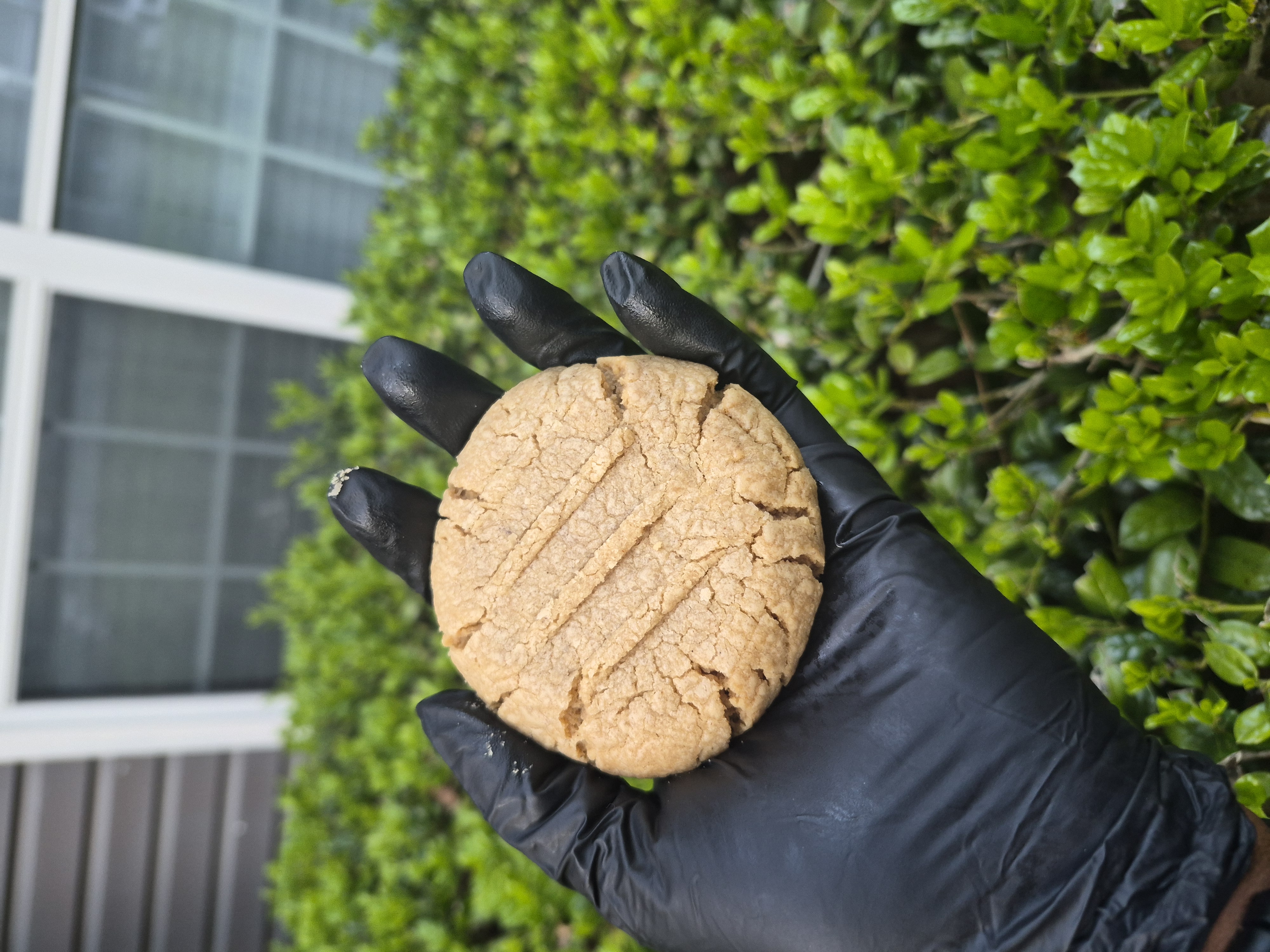 Classic Peanut Butter Cookie