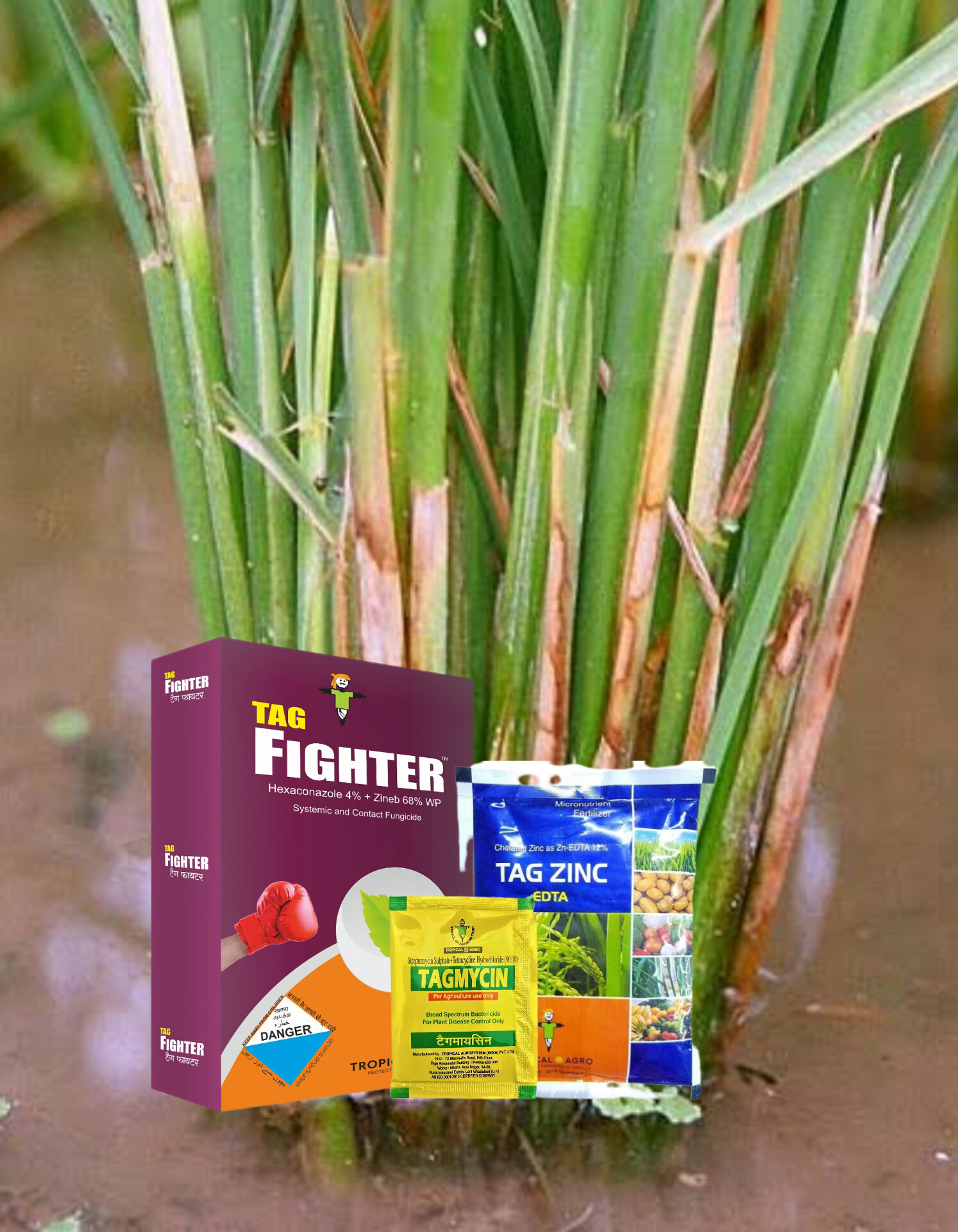 Tag Fighter + Zinc + Streptomycin