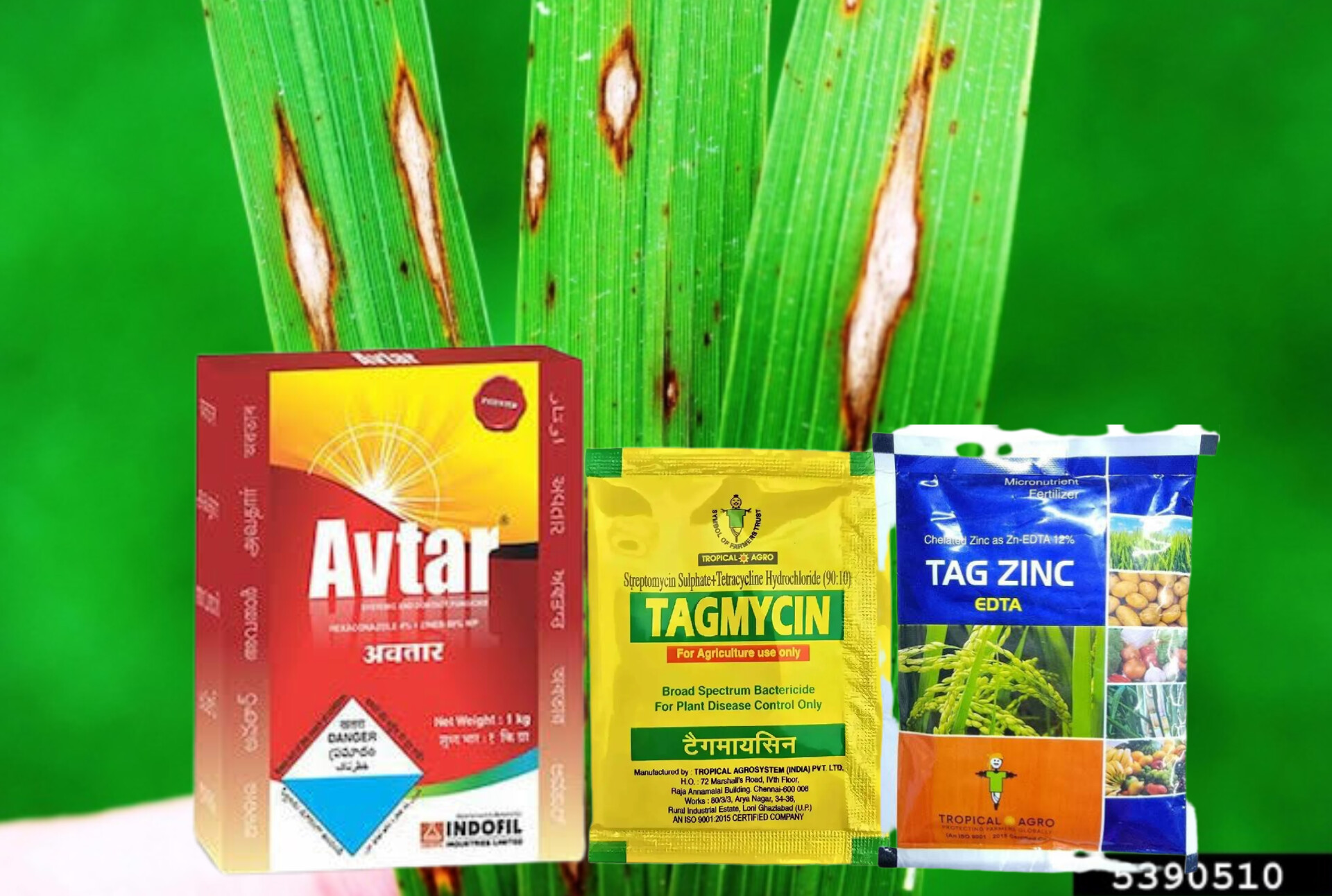  Avtar + Streptomycin + Zinc