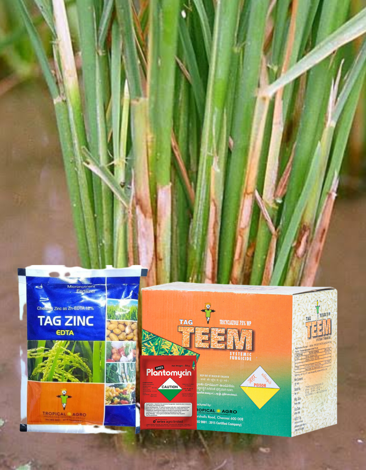 Tricyclozole + Plantomycin + Zinc 