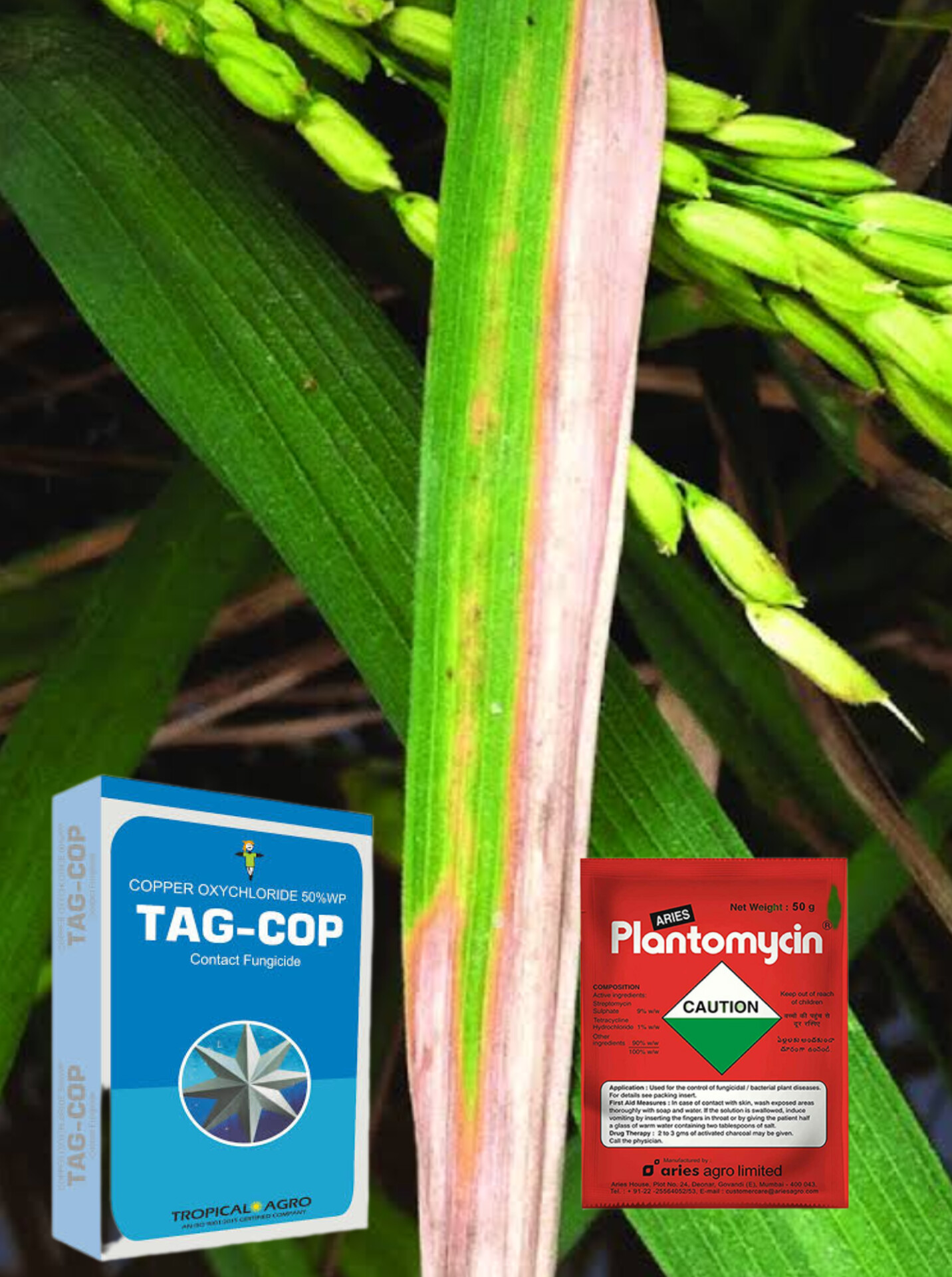 Copper Oxychloride + Plantomycin