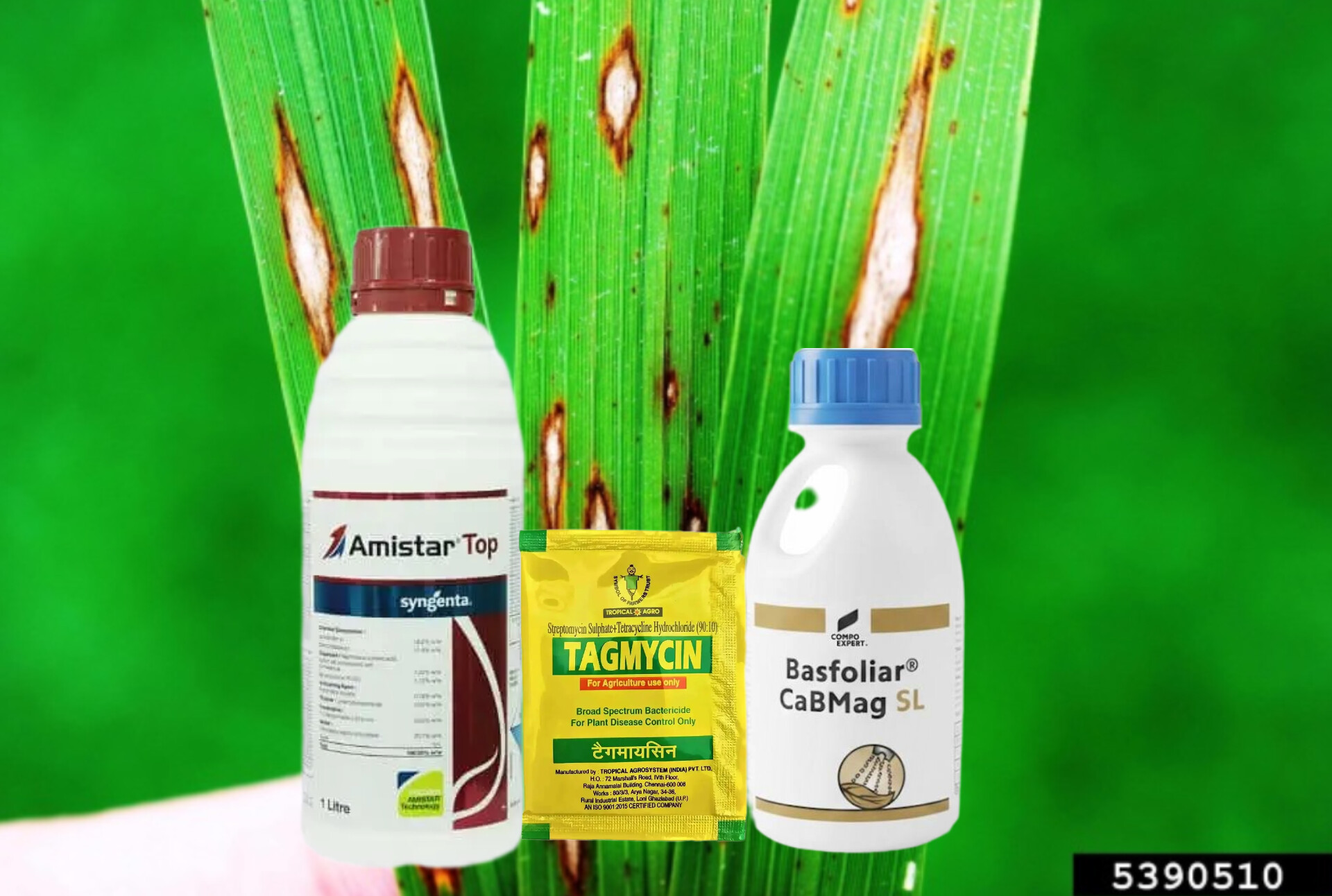 Amistar Top + Streptomycin + CabMag SL