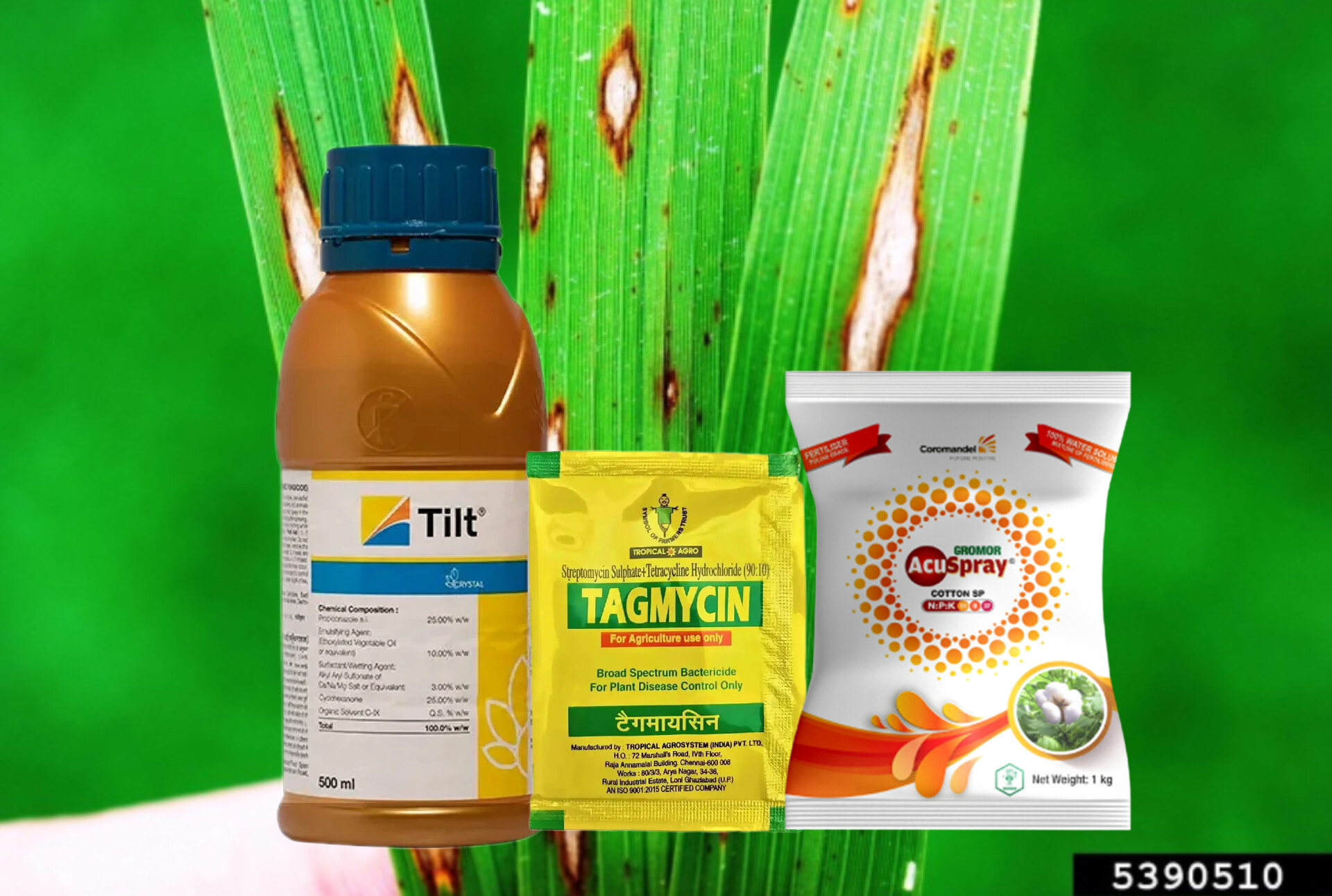 Syngenta TILT + Streptomycin + NPK 11-00-37.