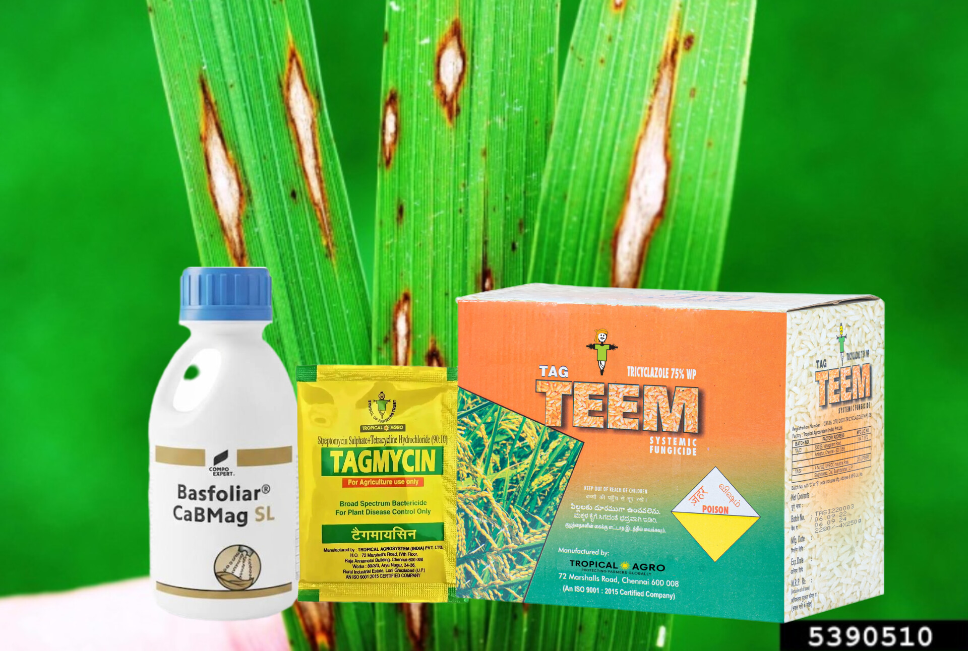 Tag Teem + Streptomycin + CabMag SL 