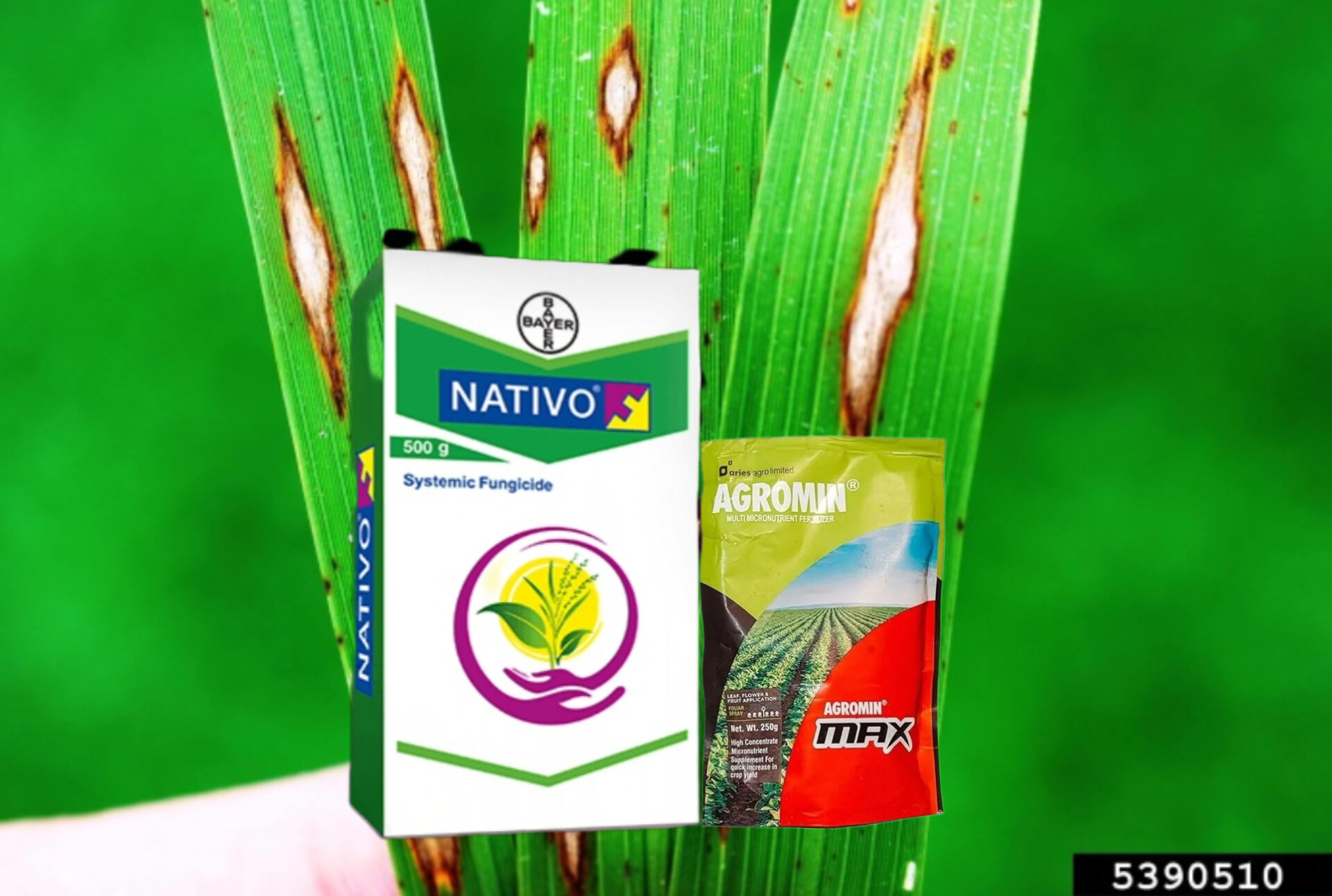 Nativo + Agromin Max