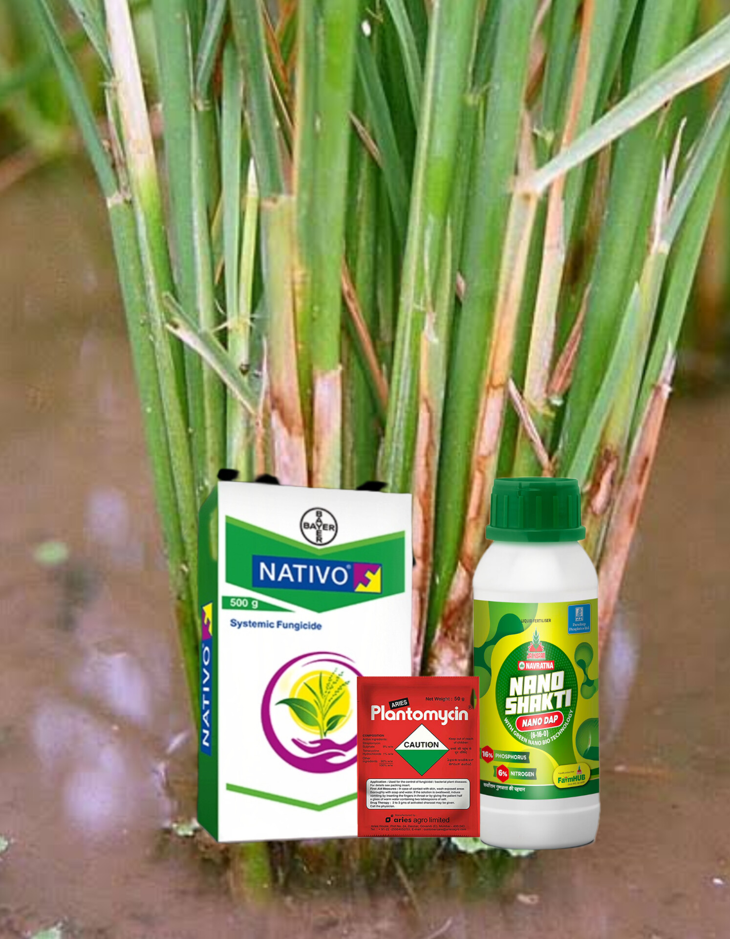 Nativo + Plantomycin + Nano DAP