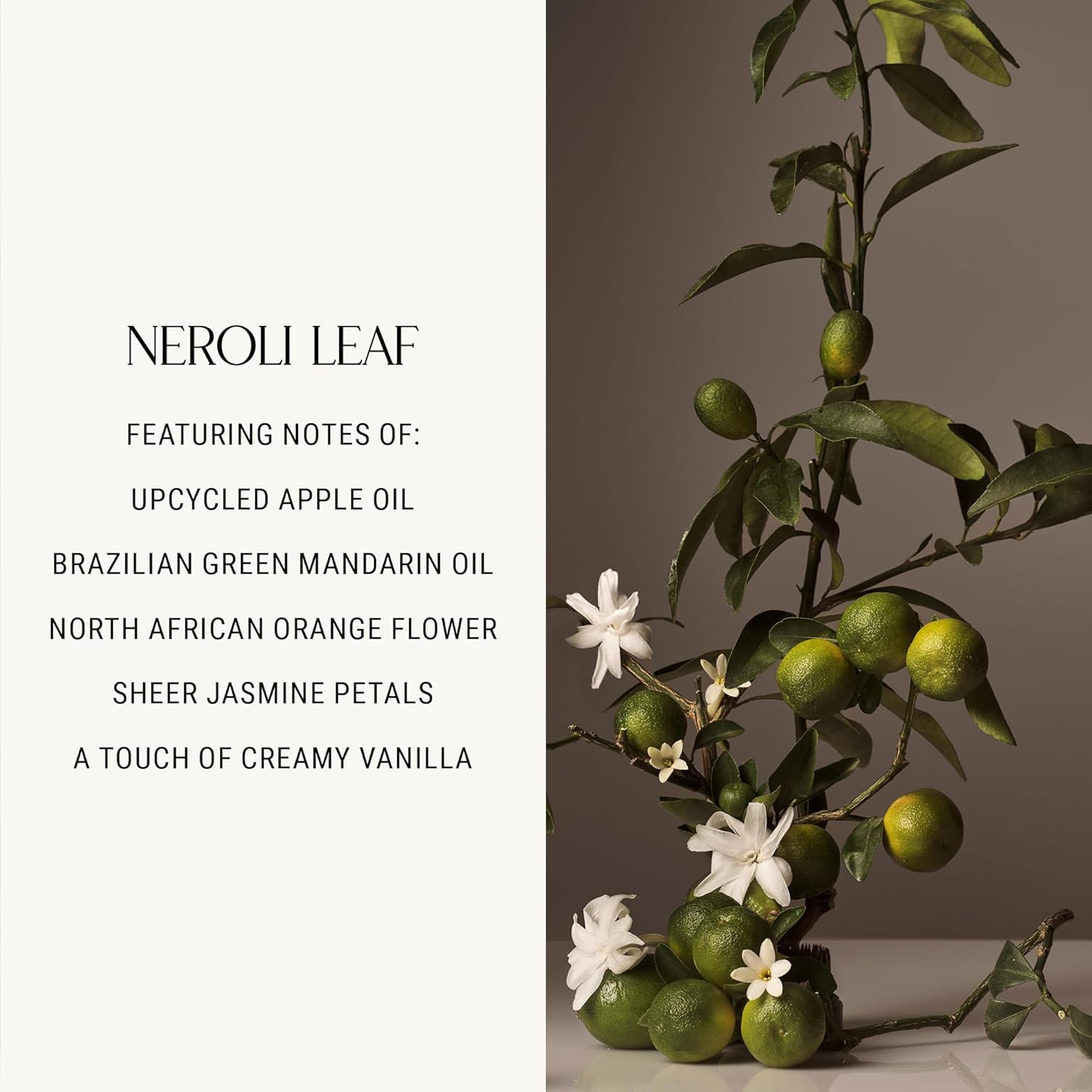 Homecourt All-Purpose Surface Cleaner Spray, Lifts Away Dirt