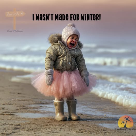 Peach Beach Winter Photoshoot Booking