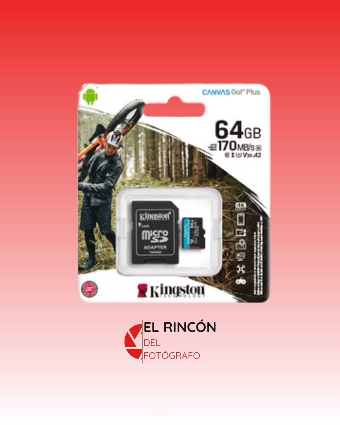 Memoria microSD Kingston 64GB Canvas Go Plus V30