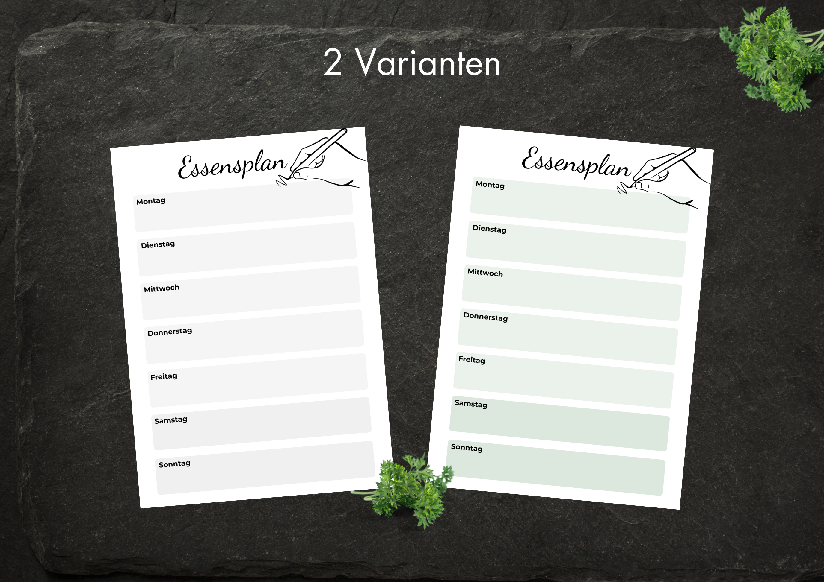 Essensplaner 2 Varianten - A5