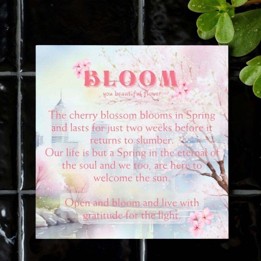 cherry blossom charm earrings with inspirational card