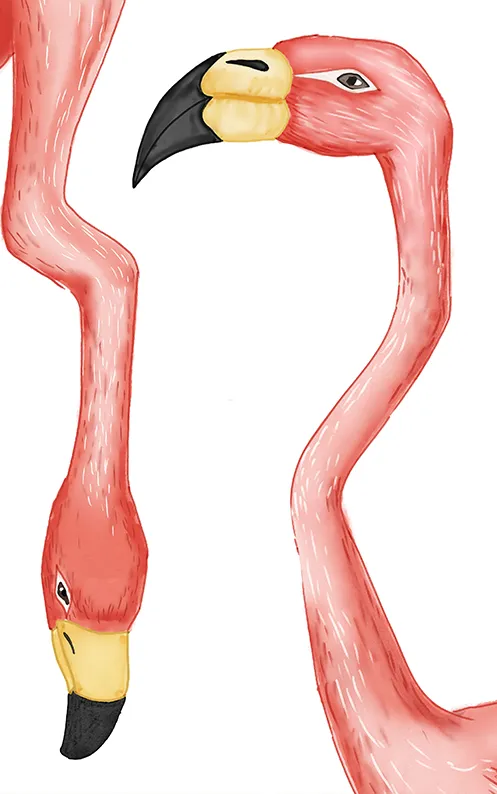 Flamingo Elegance