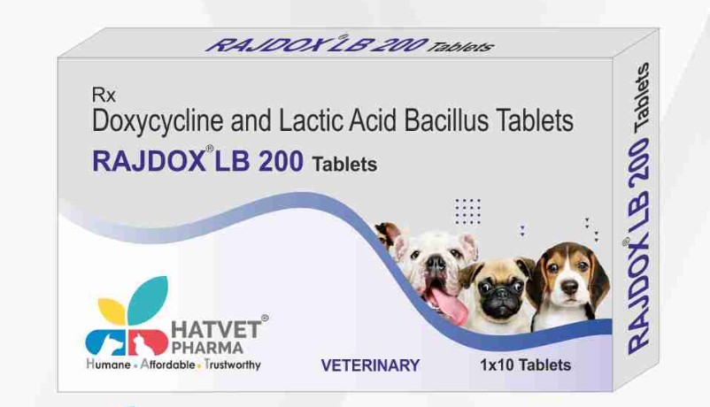 RAJDOX LB 200 Tablets