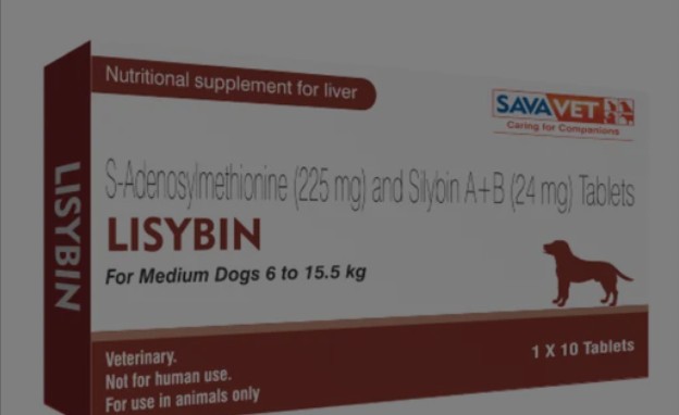 Lisybin Tablets for Medium Dogs